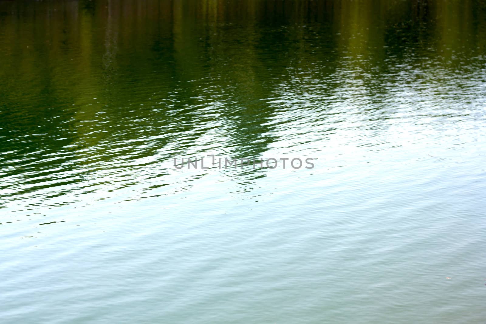 Water background  by schankz