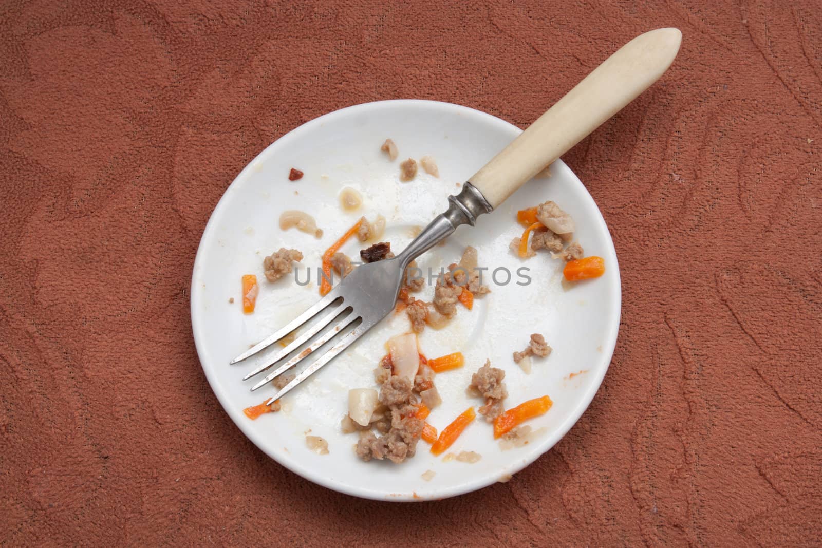 dirty plate with a fork