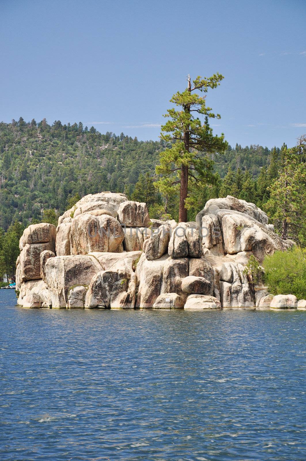 A lone pine tree sits on top of a rocky island outcropping at Boulder Bay on Big Bear Lake. Located in the Southern California mountains.