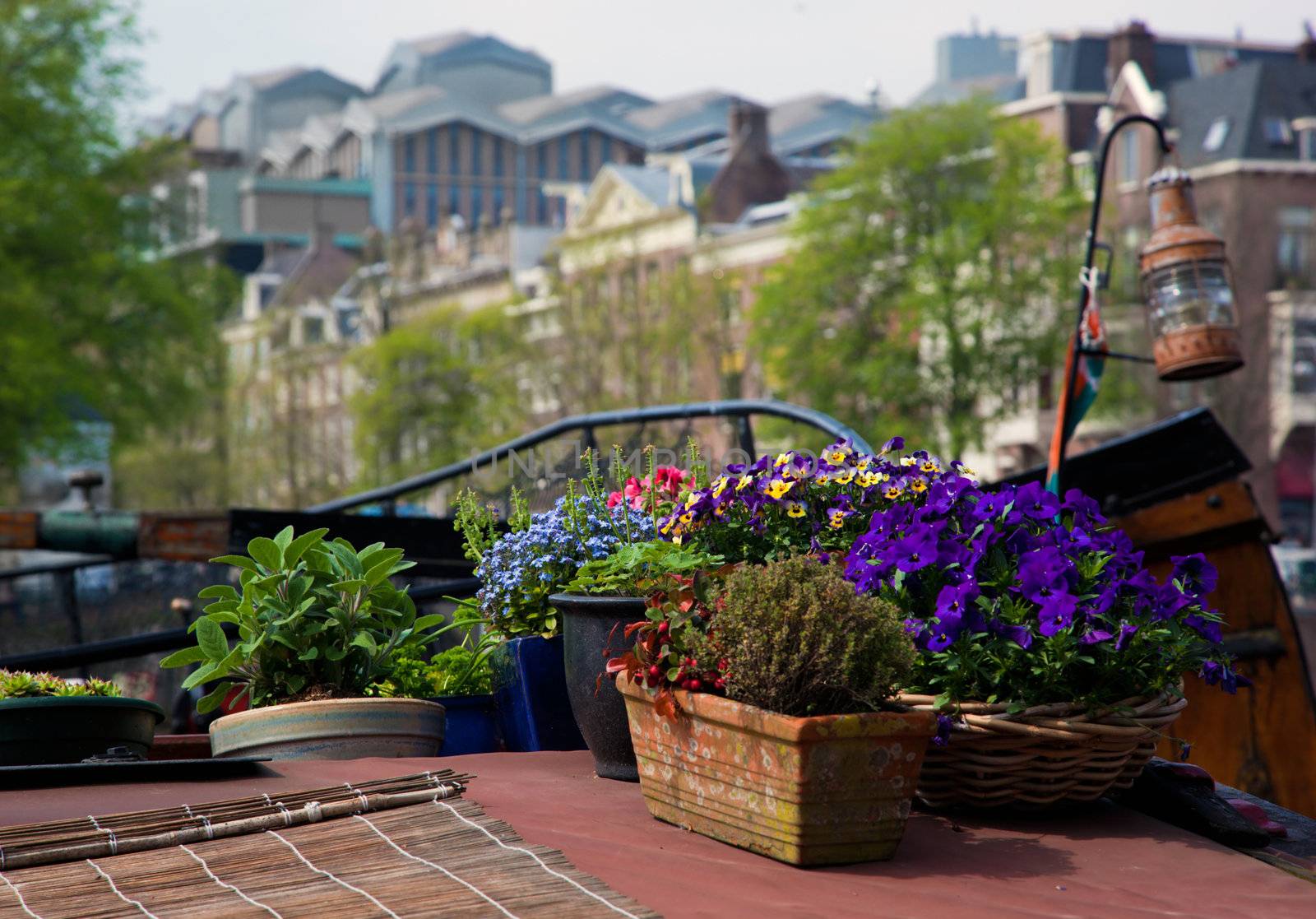 Amsterdam, Holland, Netherlands. Flowers on a boat