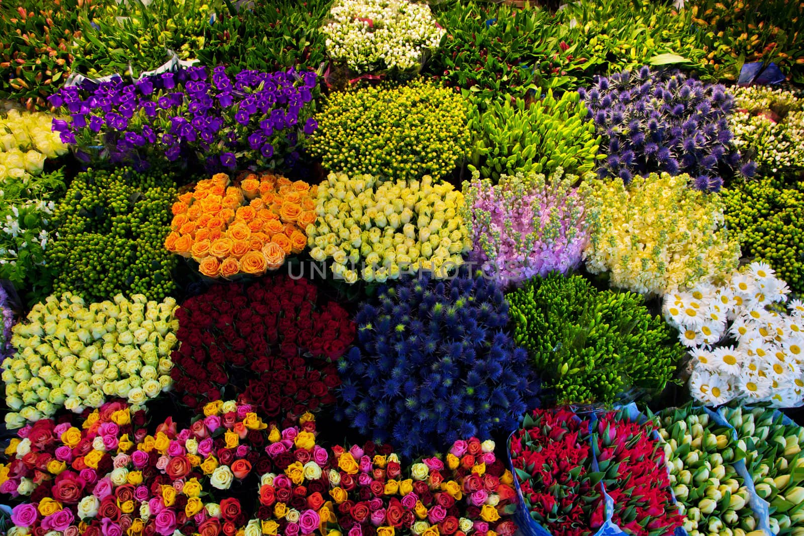 Colorful flowers in a florist's. Gardening, spring, nature background