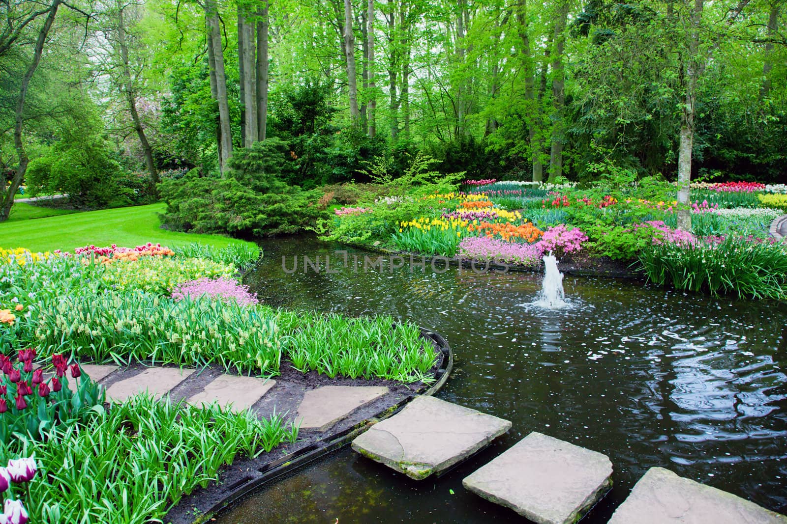 Colorful spring summer park with romantic bridge tulip flowers in a sunny day