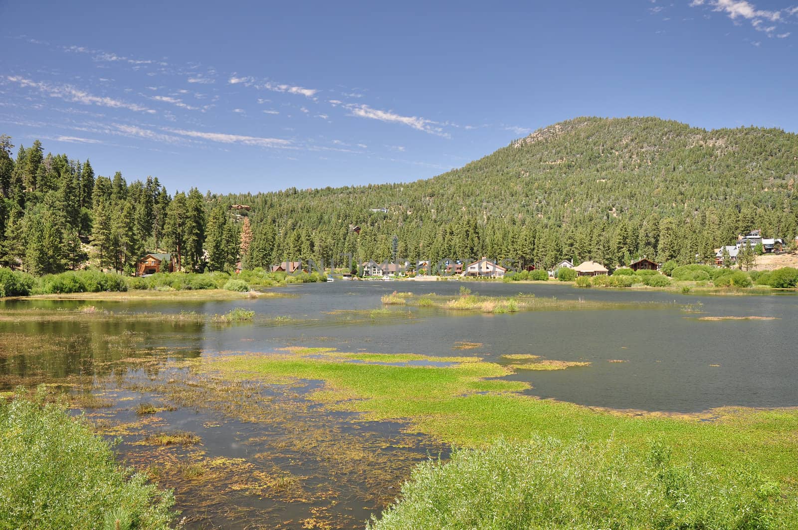 View of the marshy northeastern end of Big Bear Lake in Southern California.