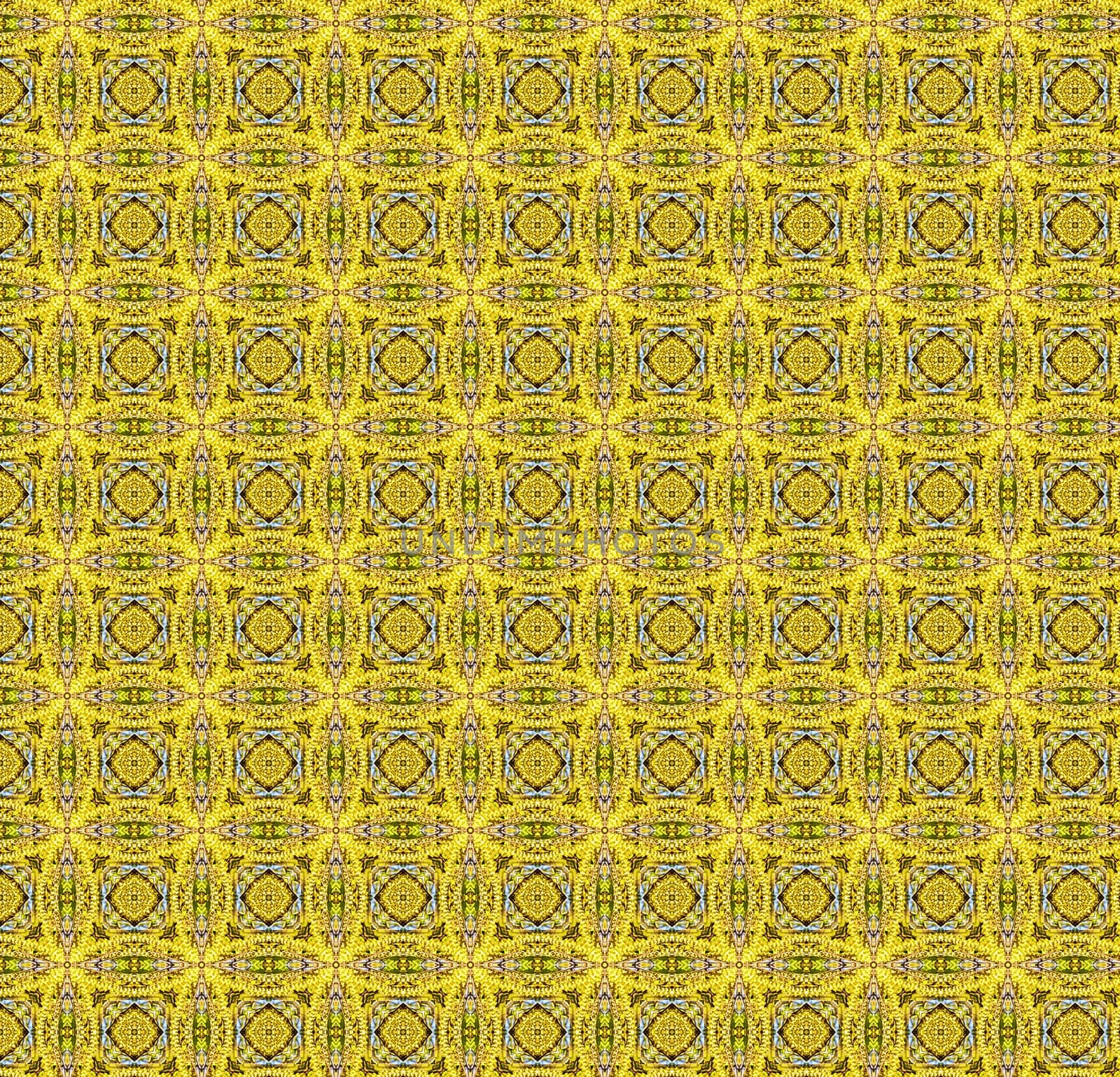 the beautiful patterned background for your design