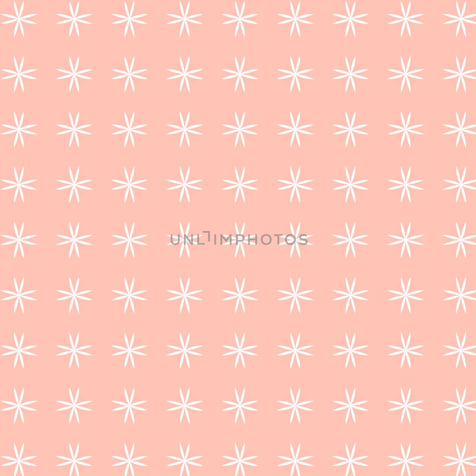 the beautiful patterned background for your design