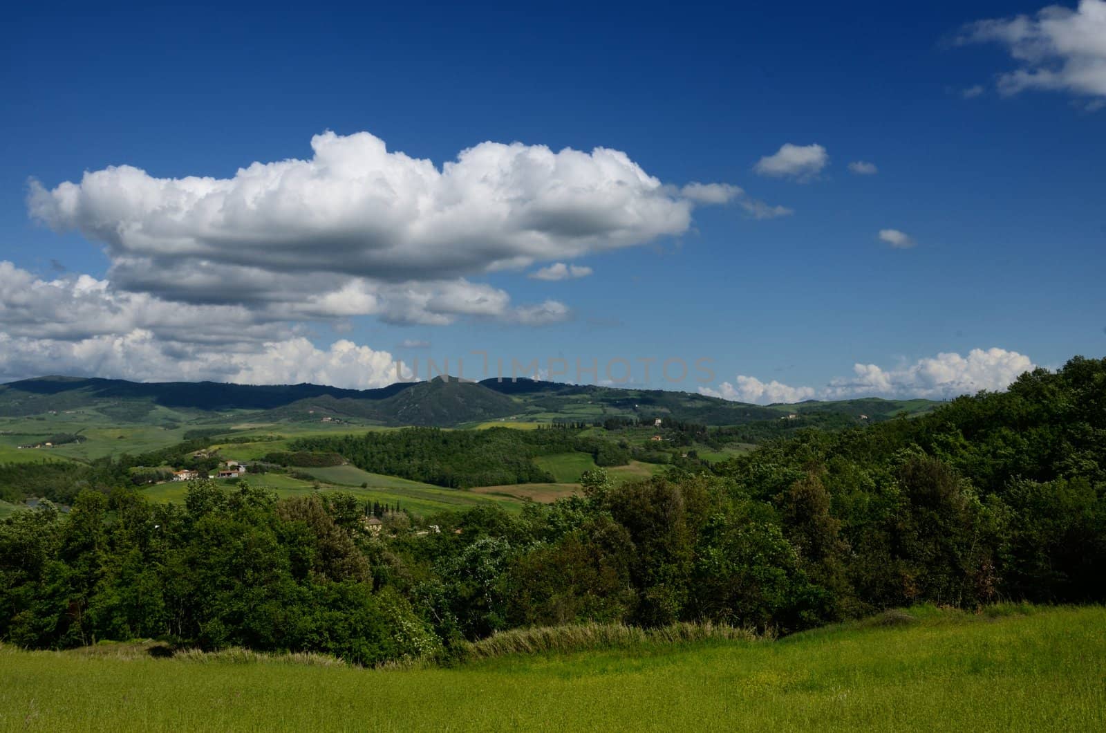 Green and beautiful tuscan landscape in spring time