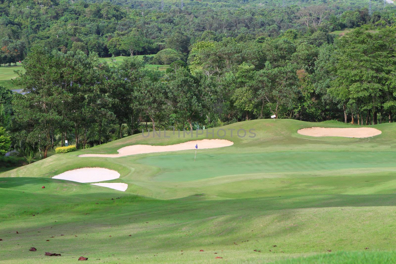 Landscape of golf field by rufous