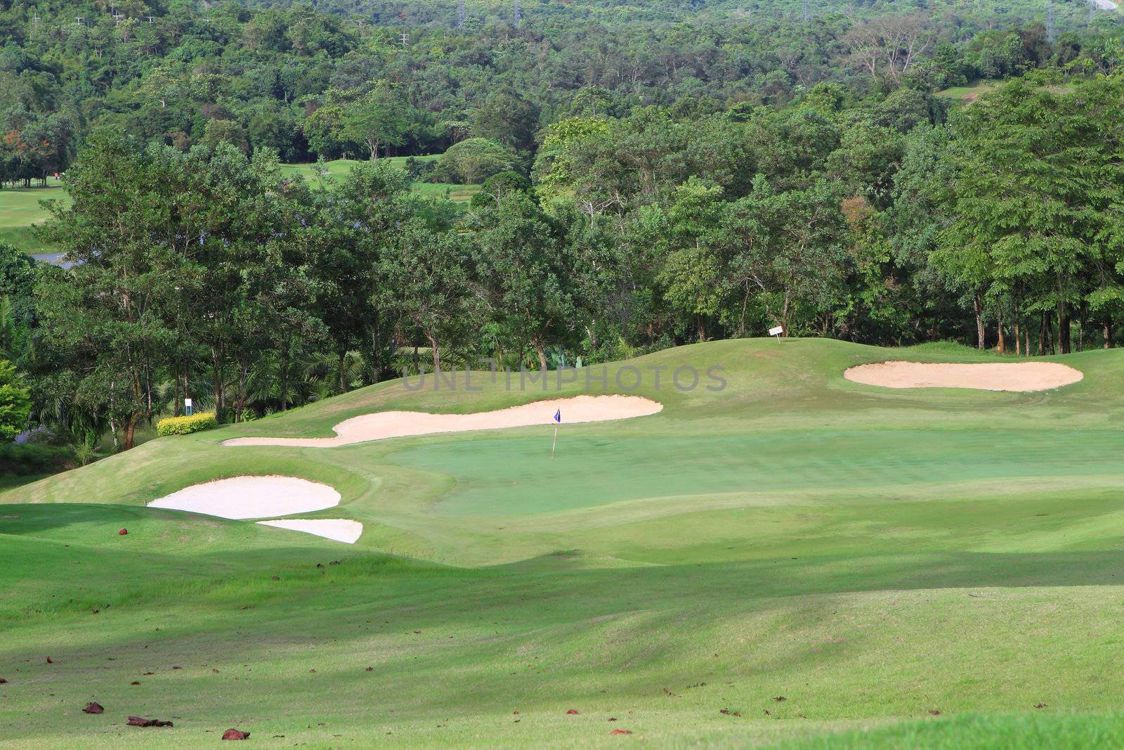 Landscape of golf field