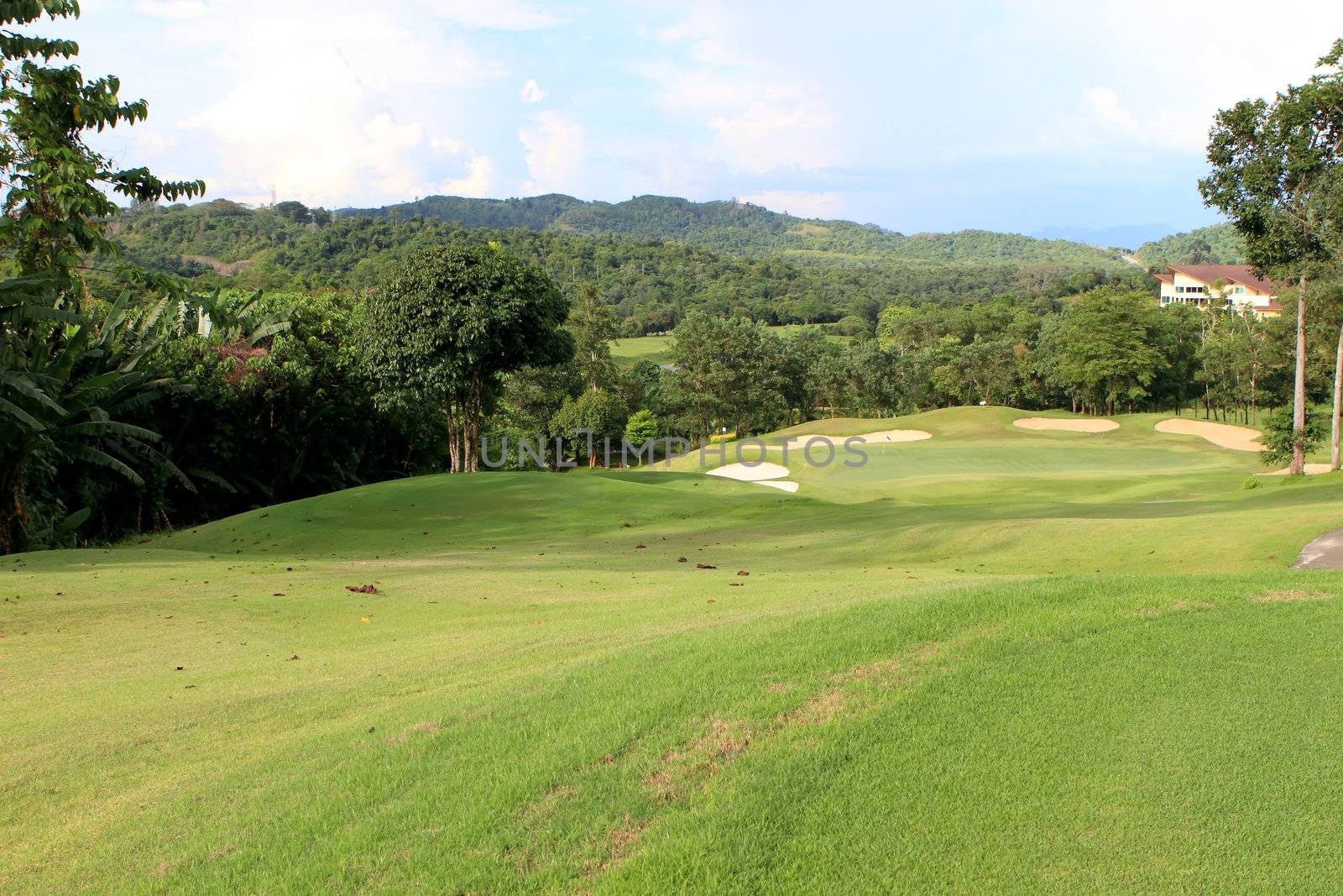 Landscape of golf field by rufous