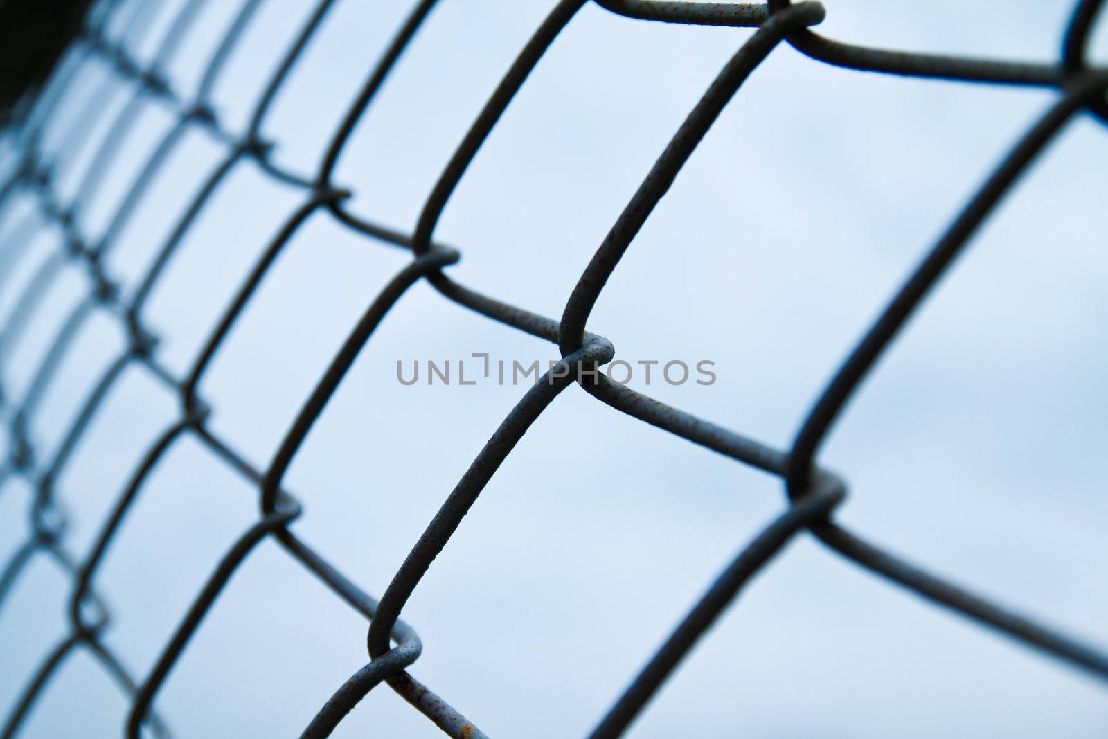 perspective of wire fence