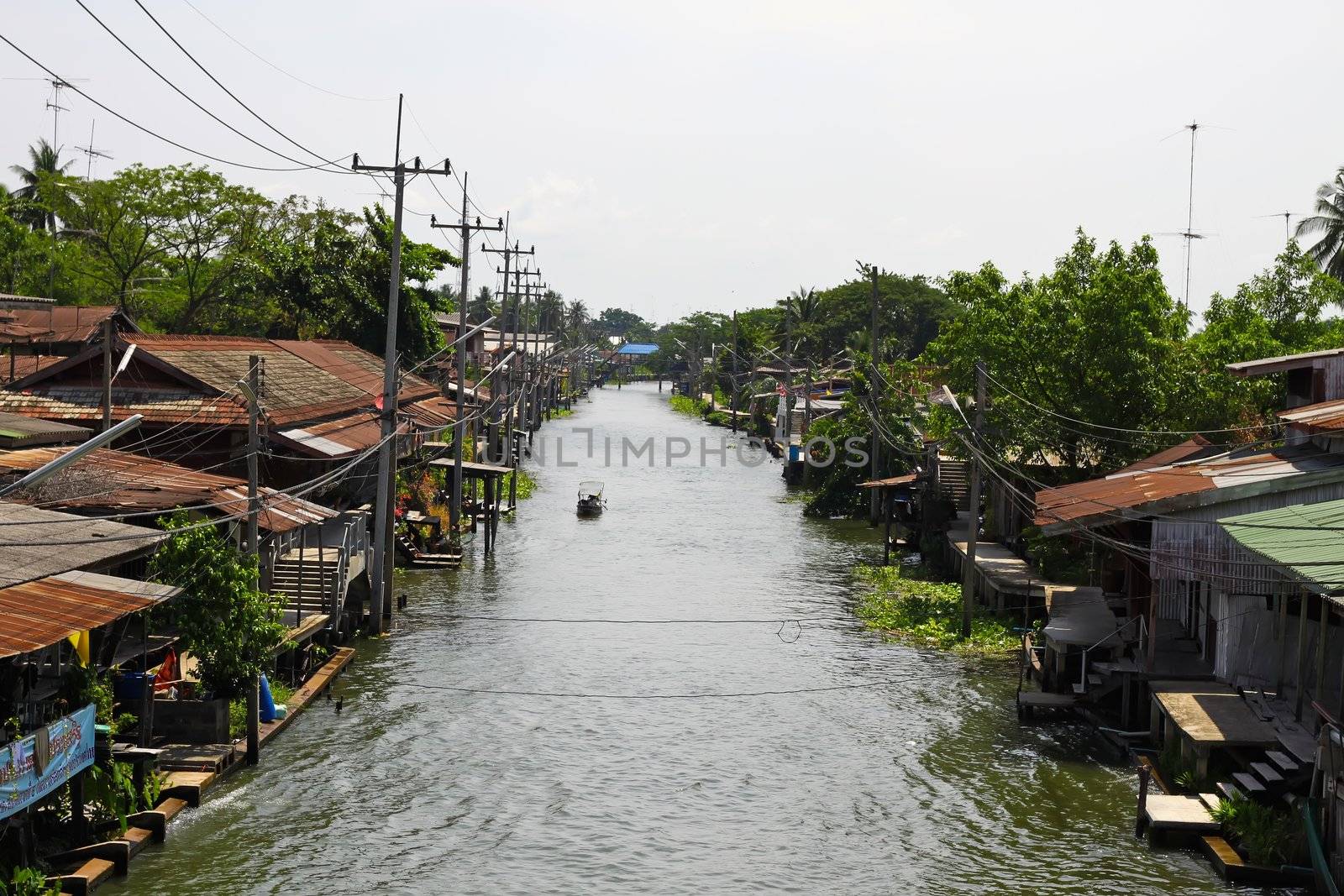 floating market in thailand by nuchylee