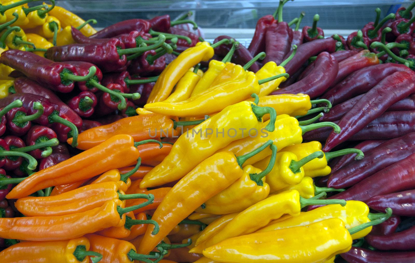 yellow red and orange peppers