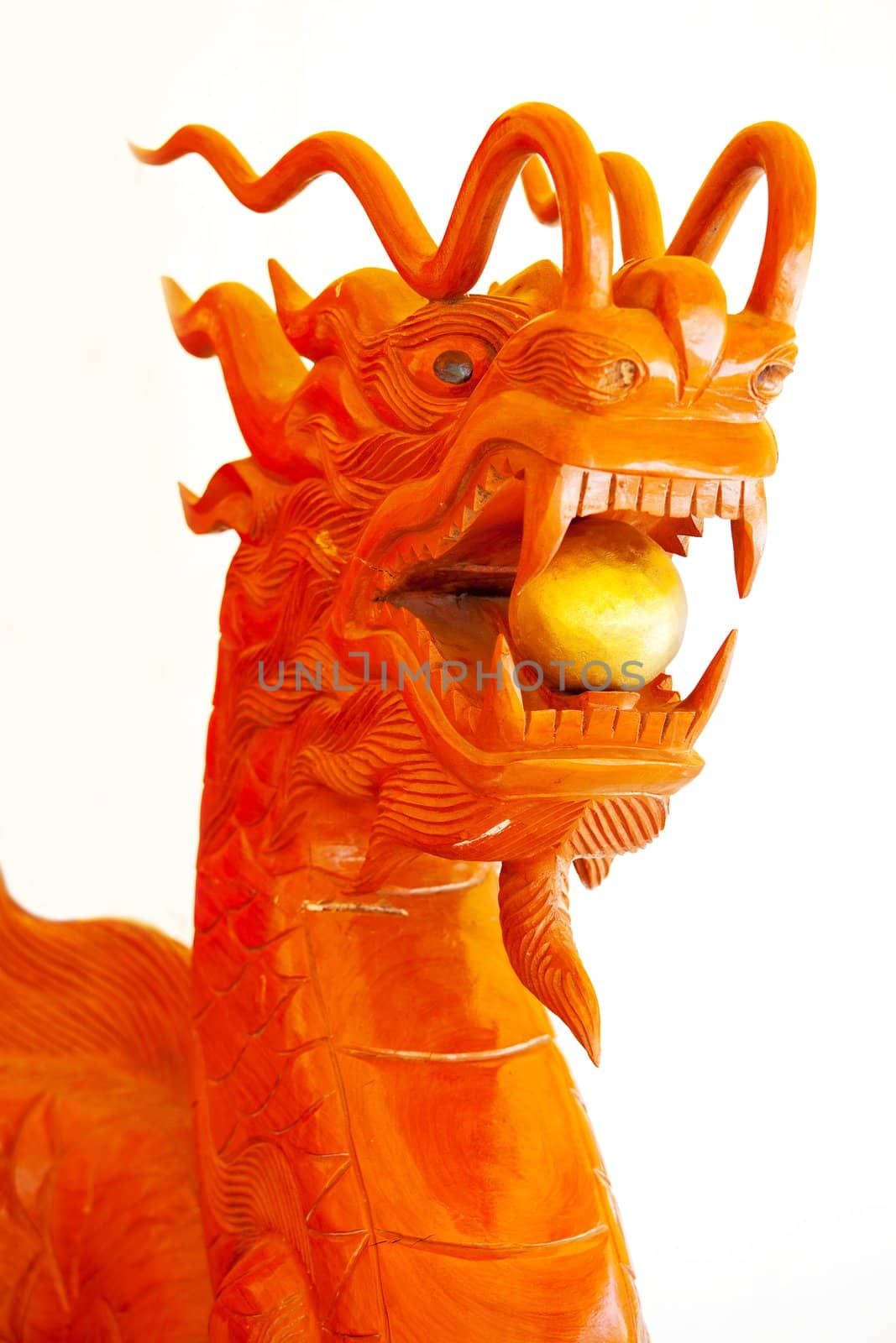 China Dragon on white