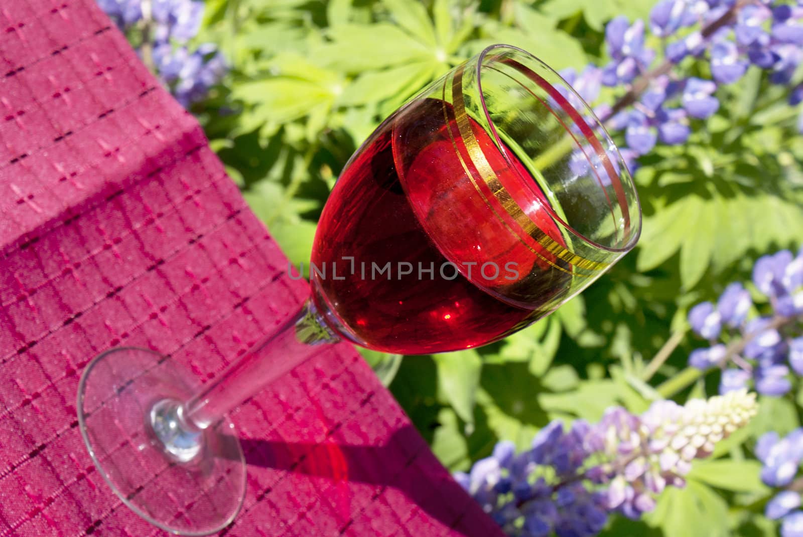 Glass red wine