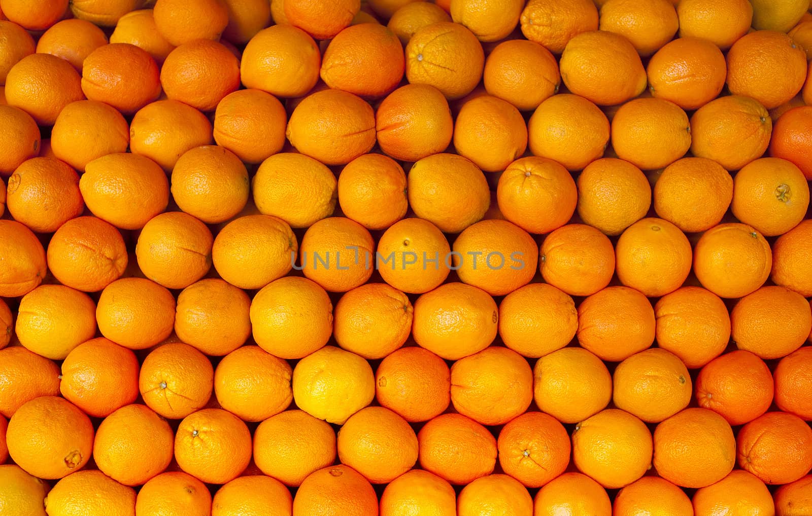 oranges by f/2sumicron