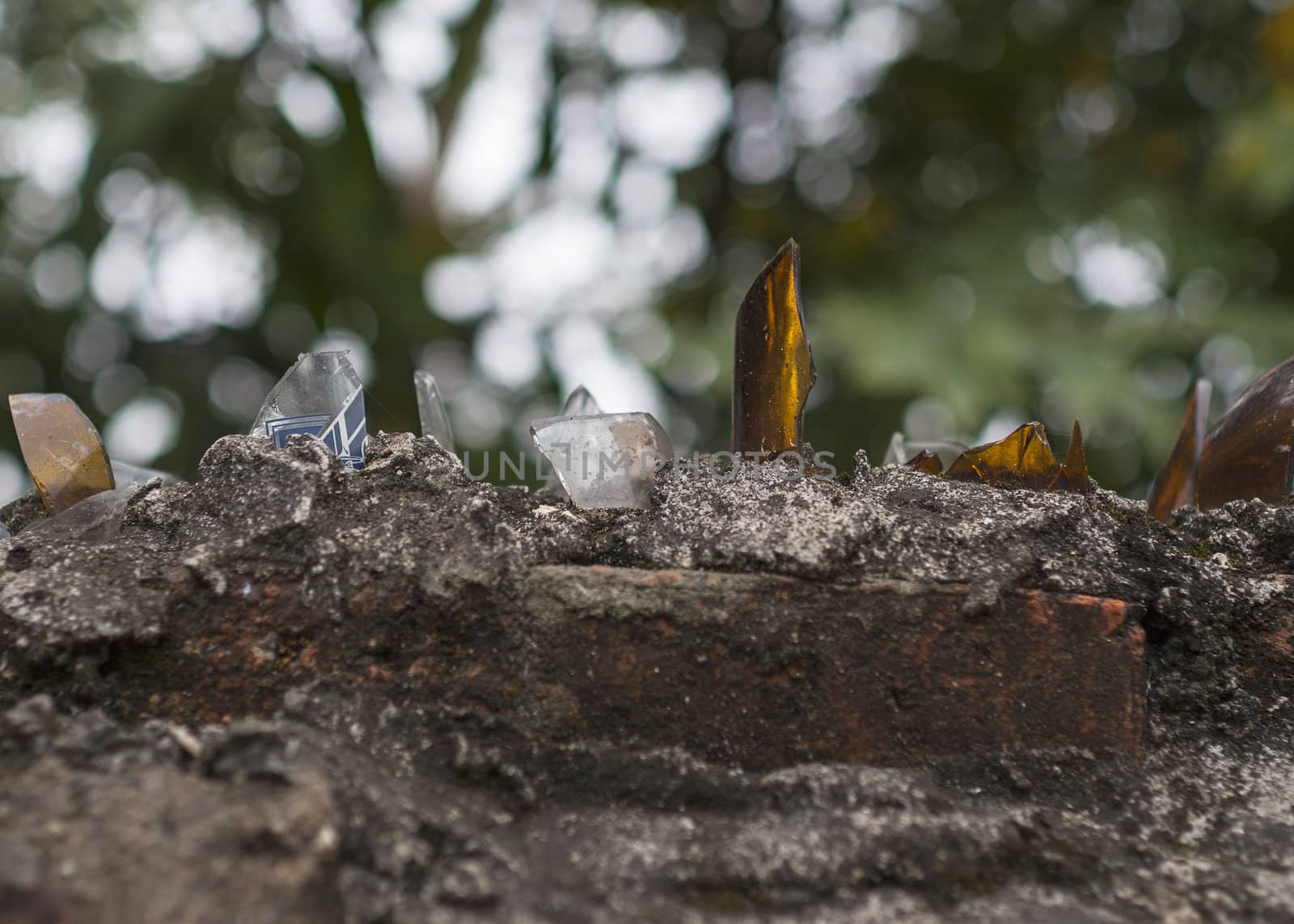 Broken glass pieces on top of wall to deter intruders. by Claudine