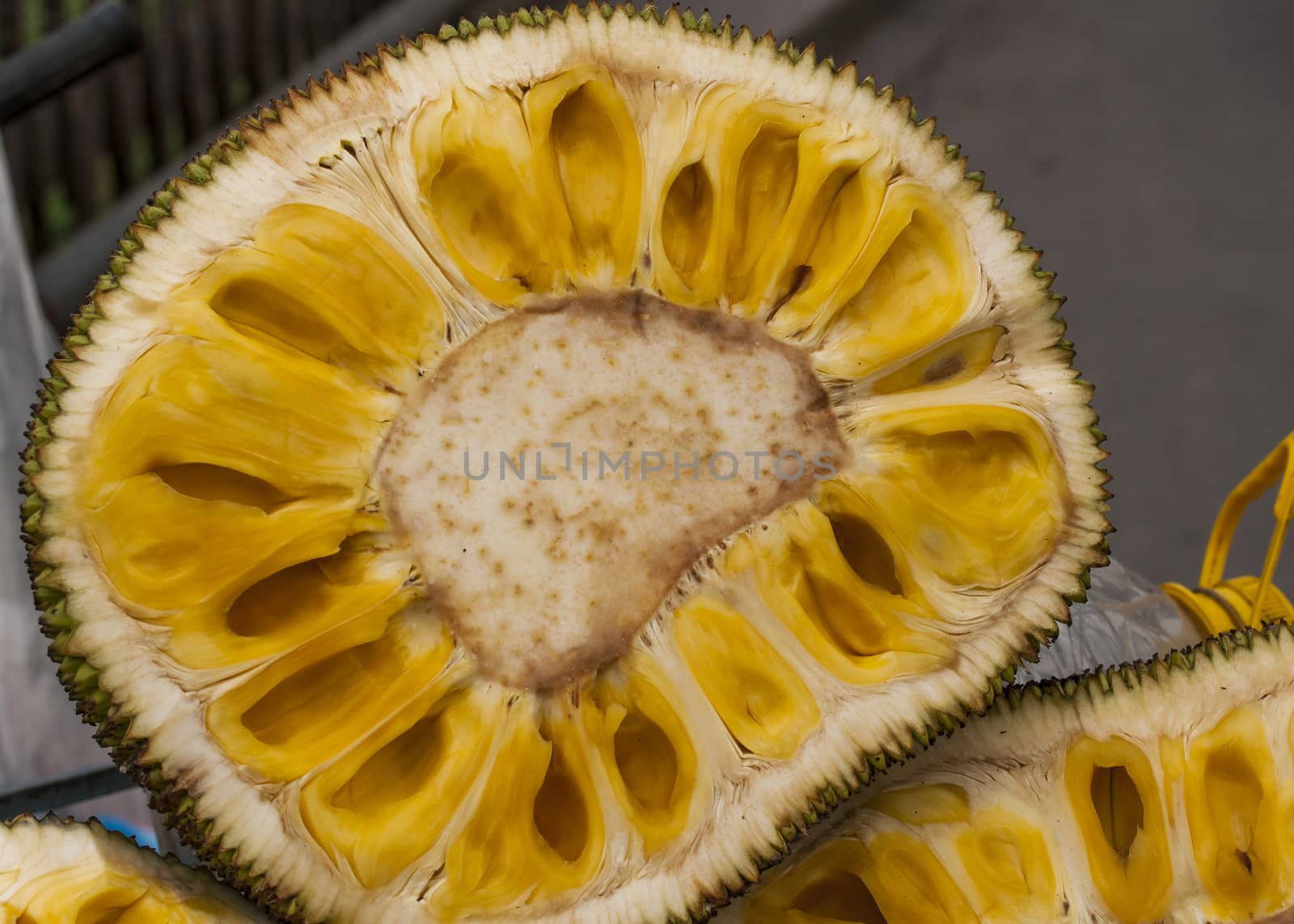 Close up of Jackfruit, cut in half. by Claudine