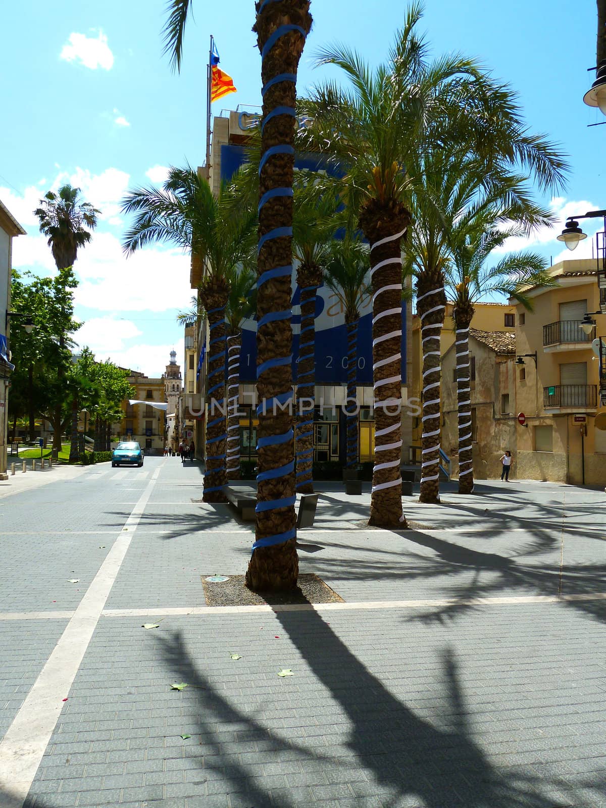 decorated palm trees and street in a spanish town