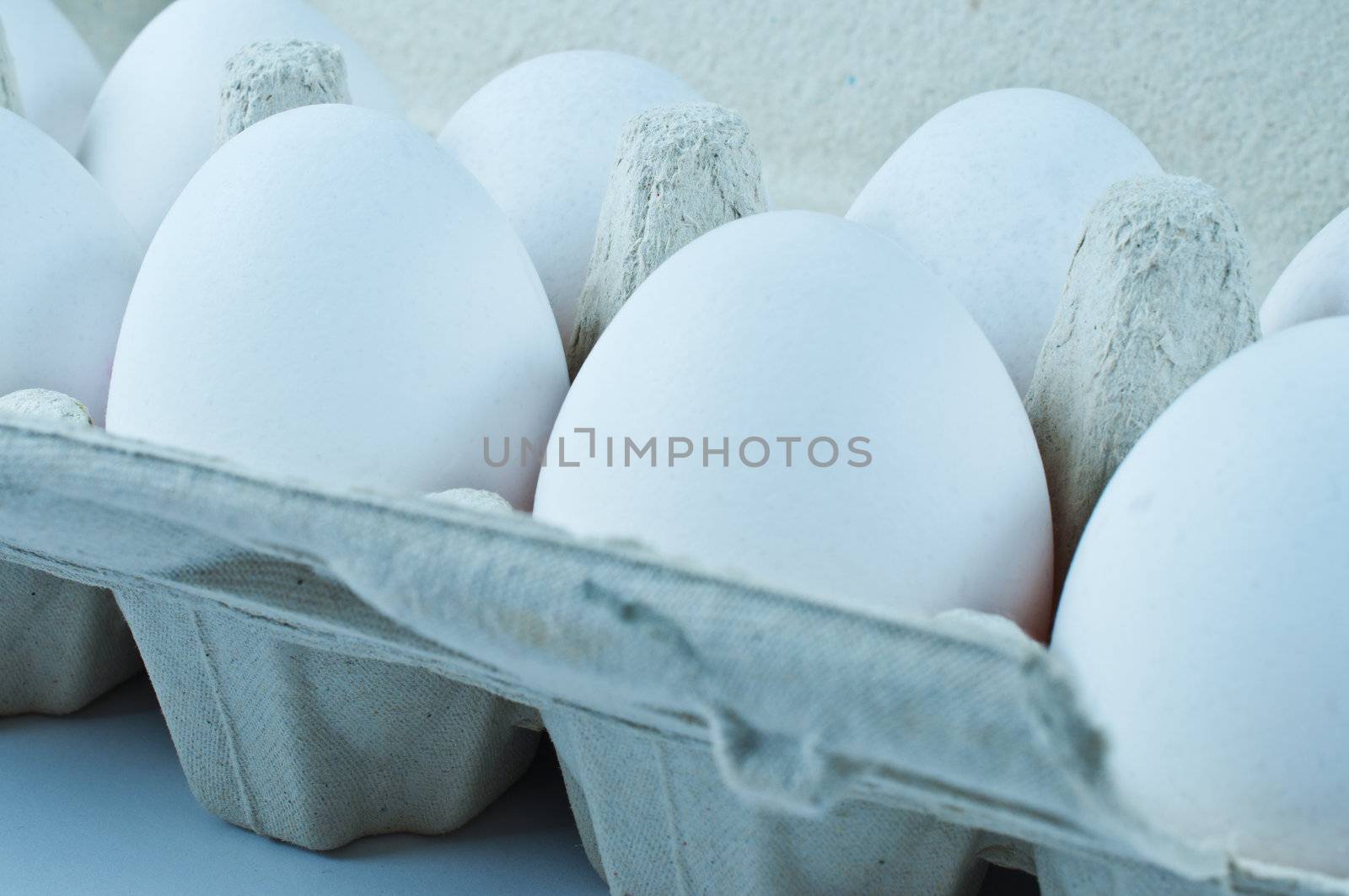 White eggs in the package close up