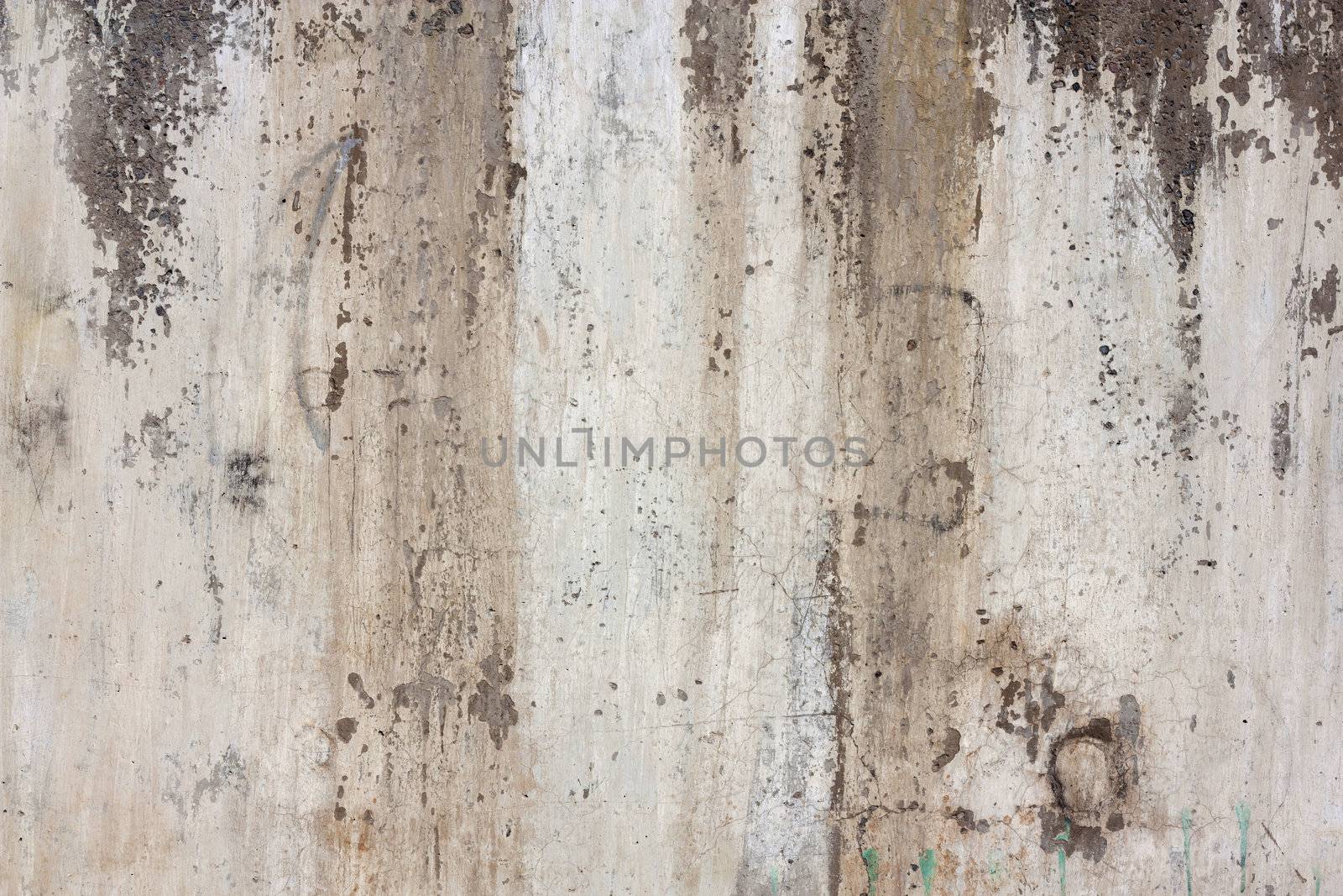 Grunge cement wall:can be used as background 