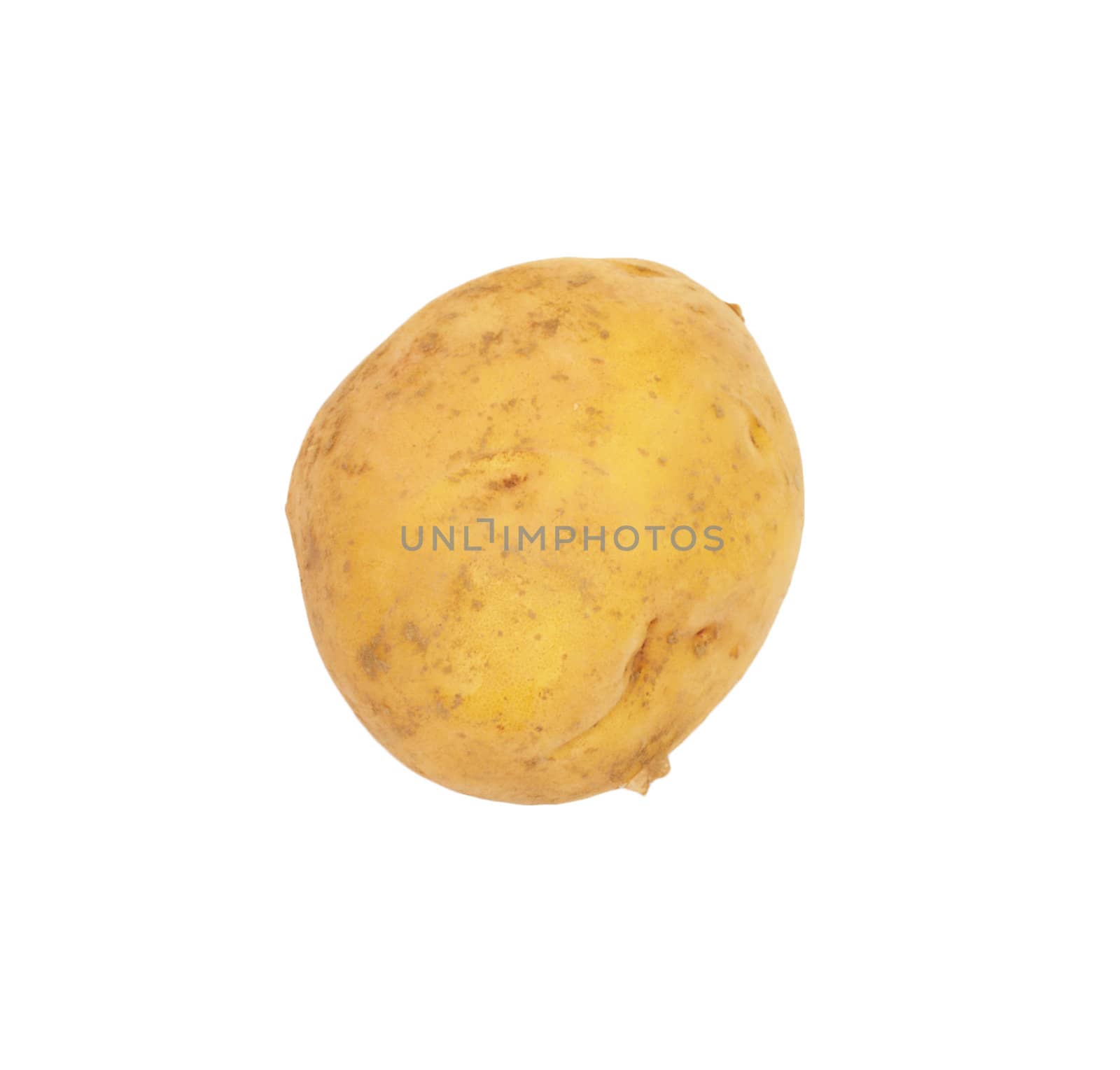 potato isolated on white background close up 