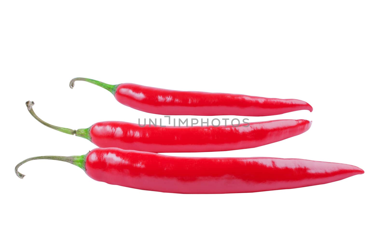 Three chili peppers in the white background