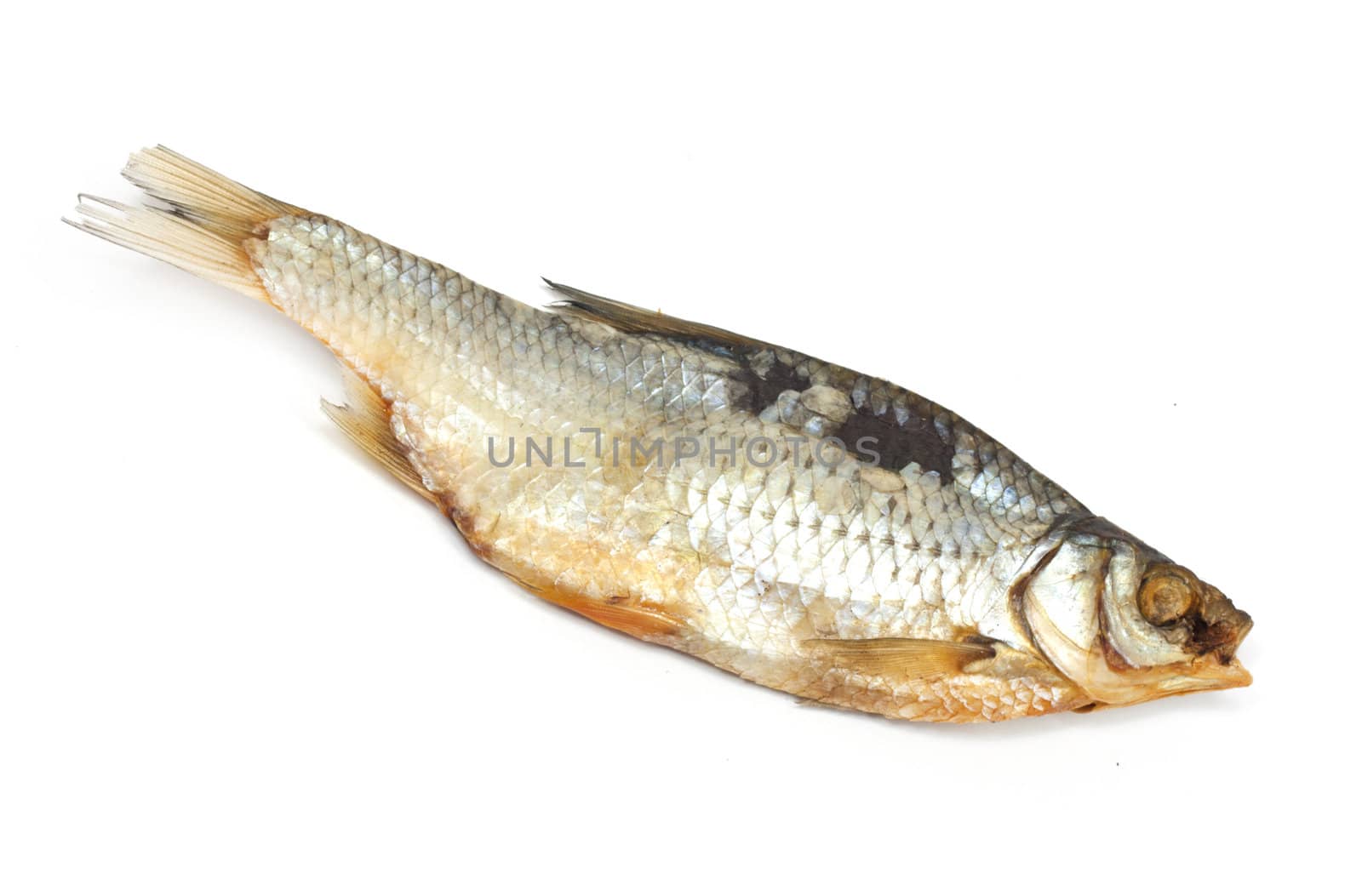 Dried fish on a white background