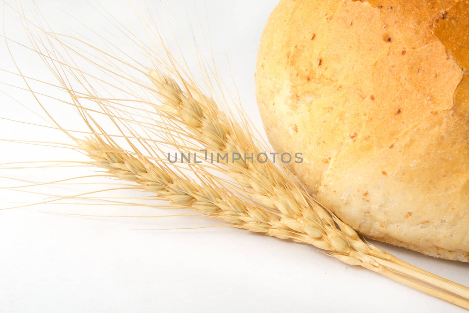 bread and wheat on a white background