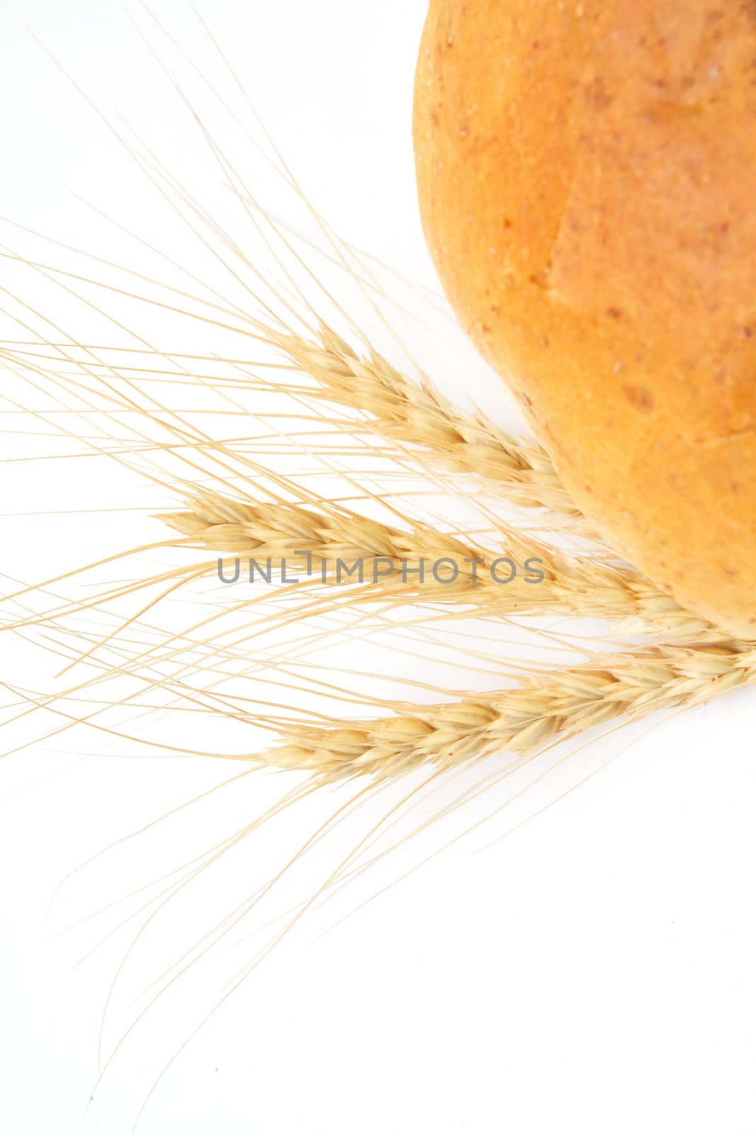 wheat and bread on a white background