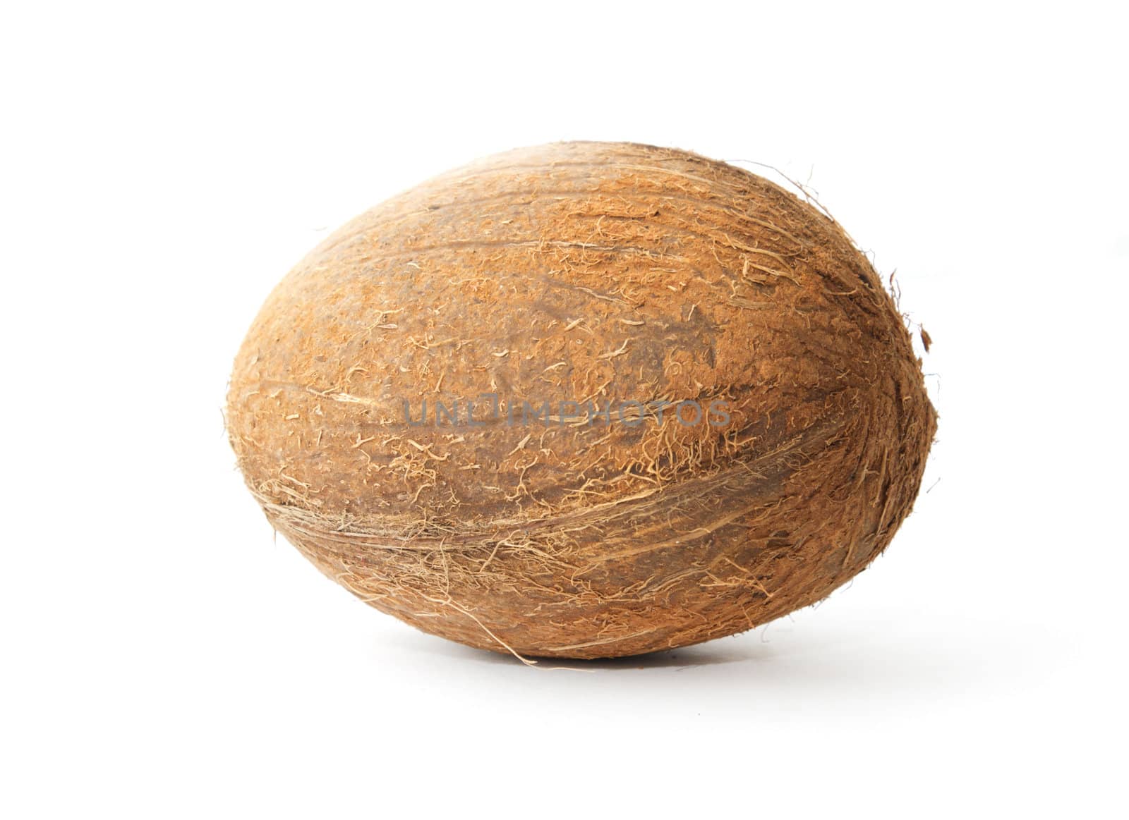 coconut on white background