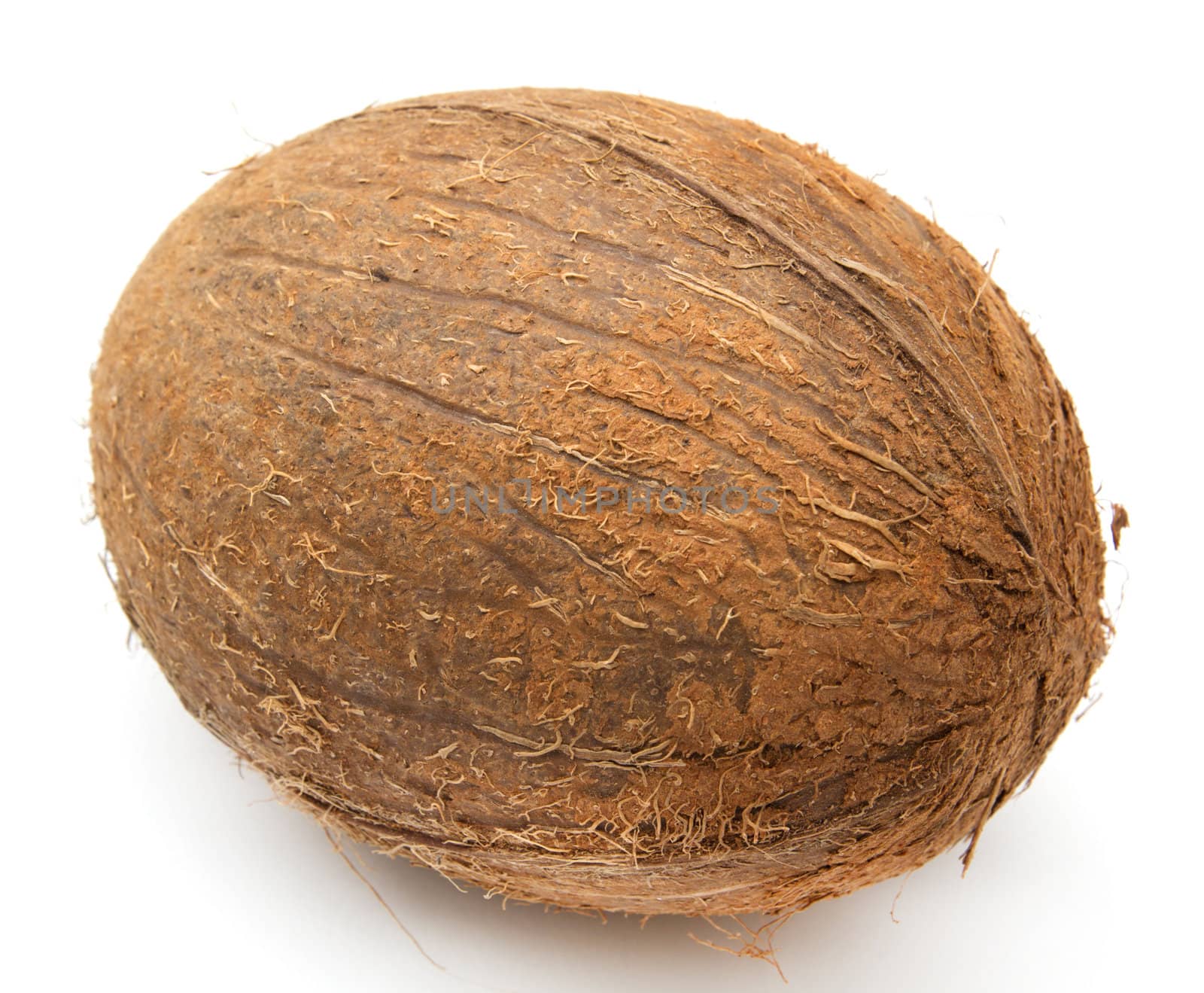 coconut on white background