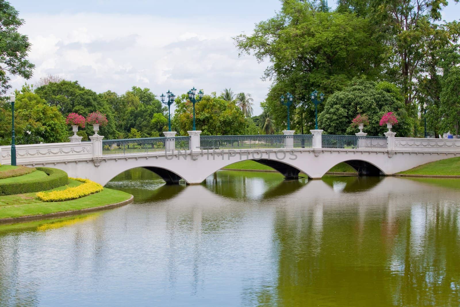 bridge in park