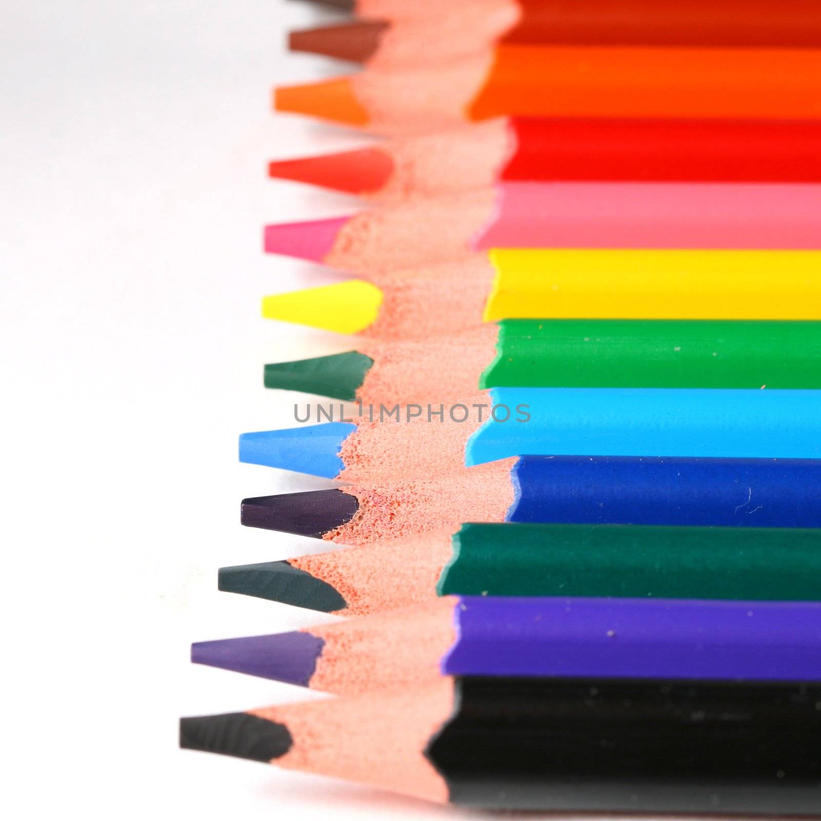color pencil pallete macro close up