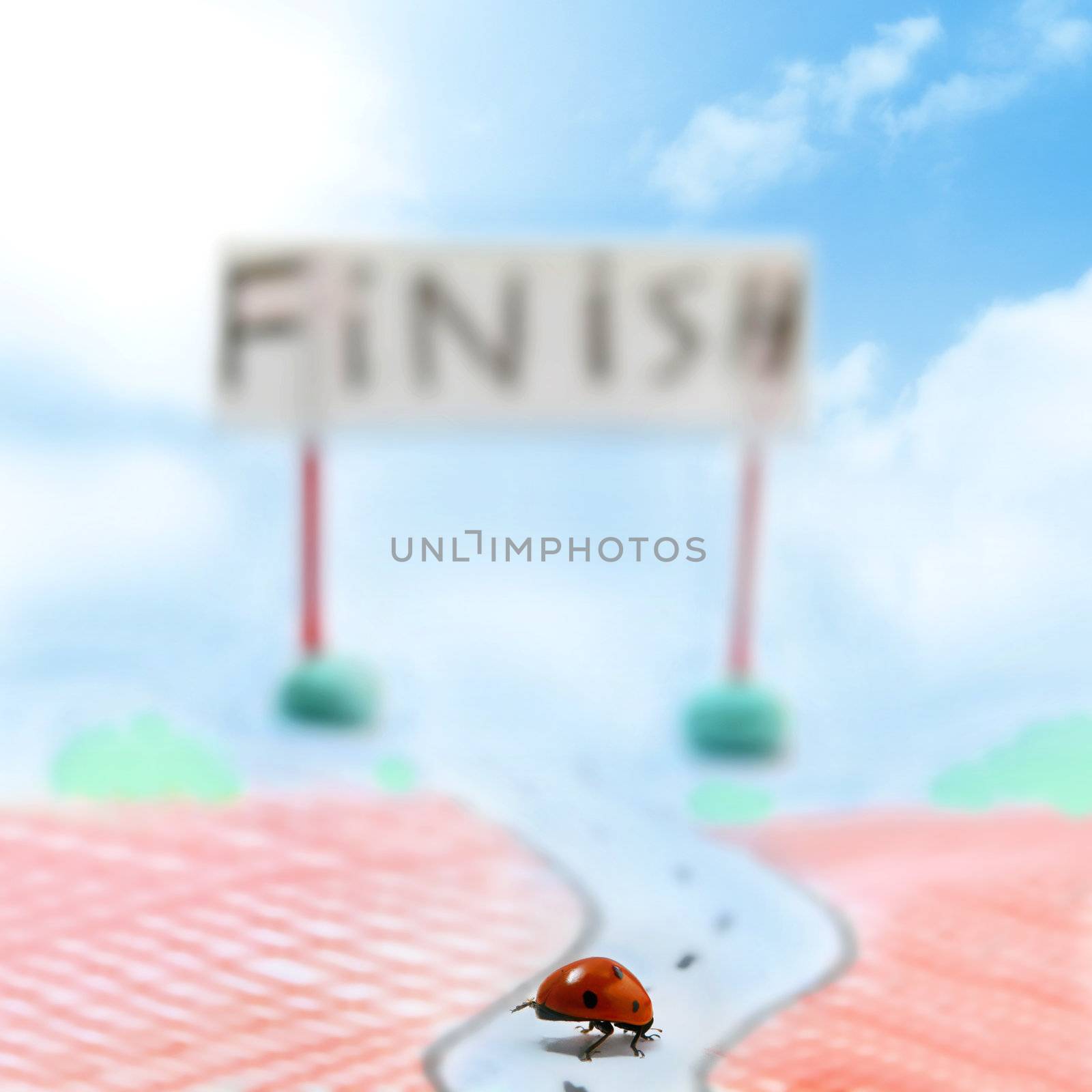 fast ladybug racer run to finish