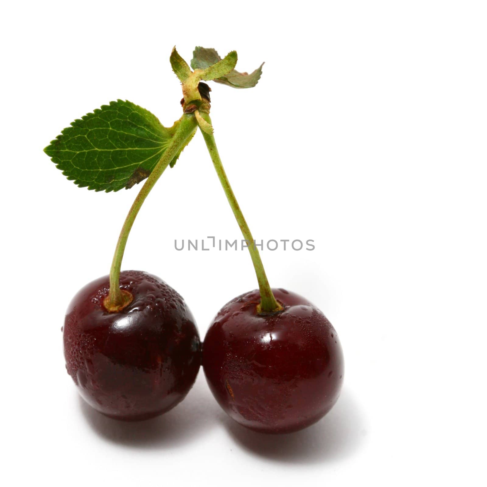 sweet cherry isolated on white background