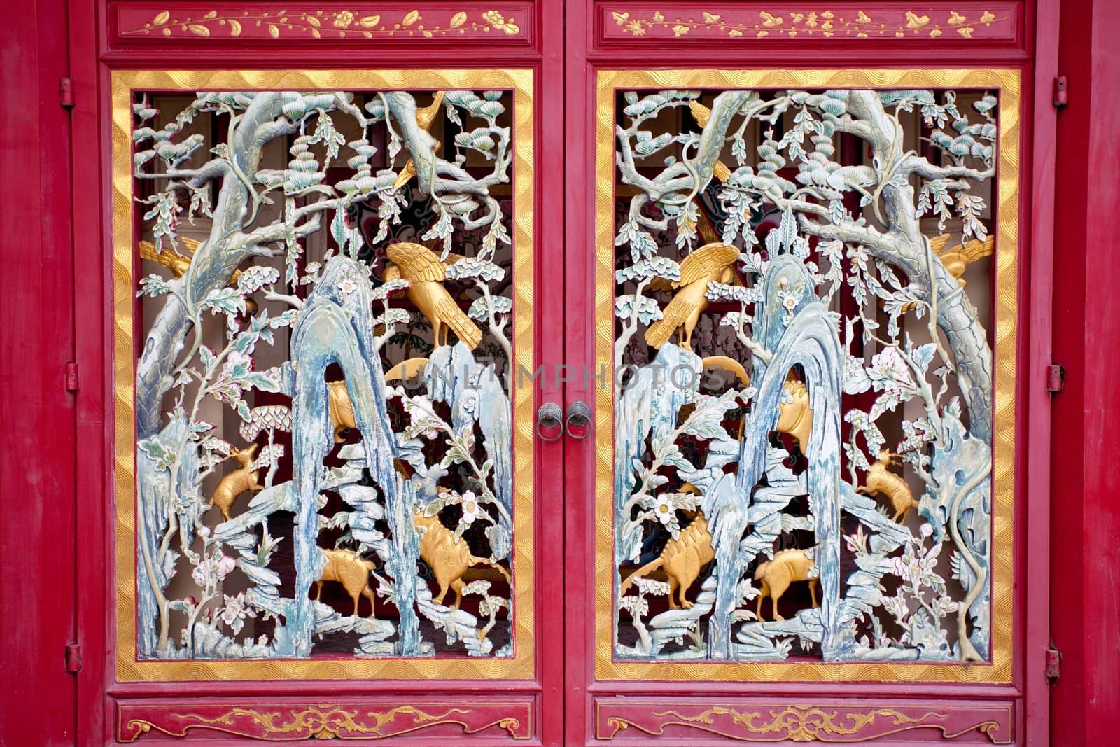 China door