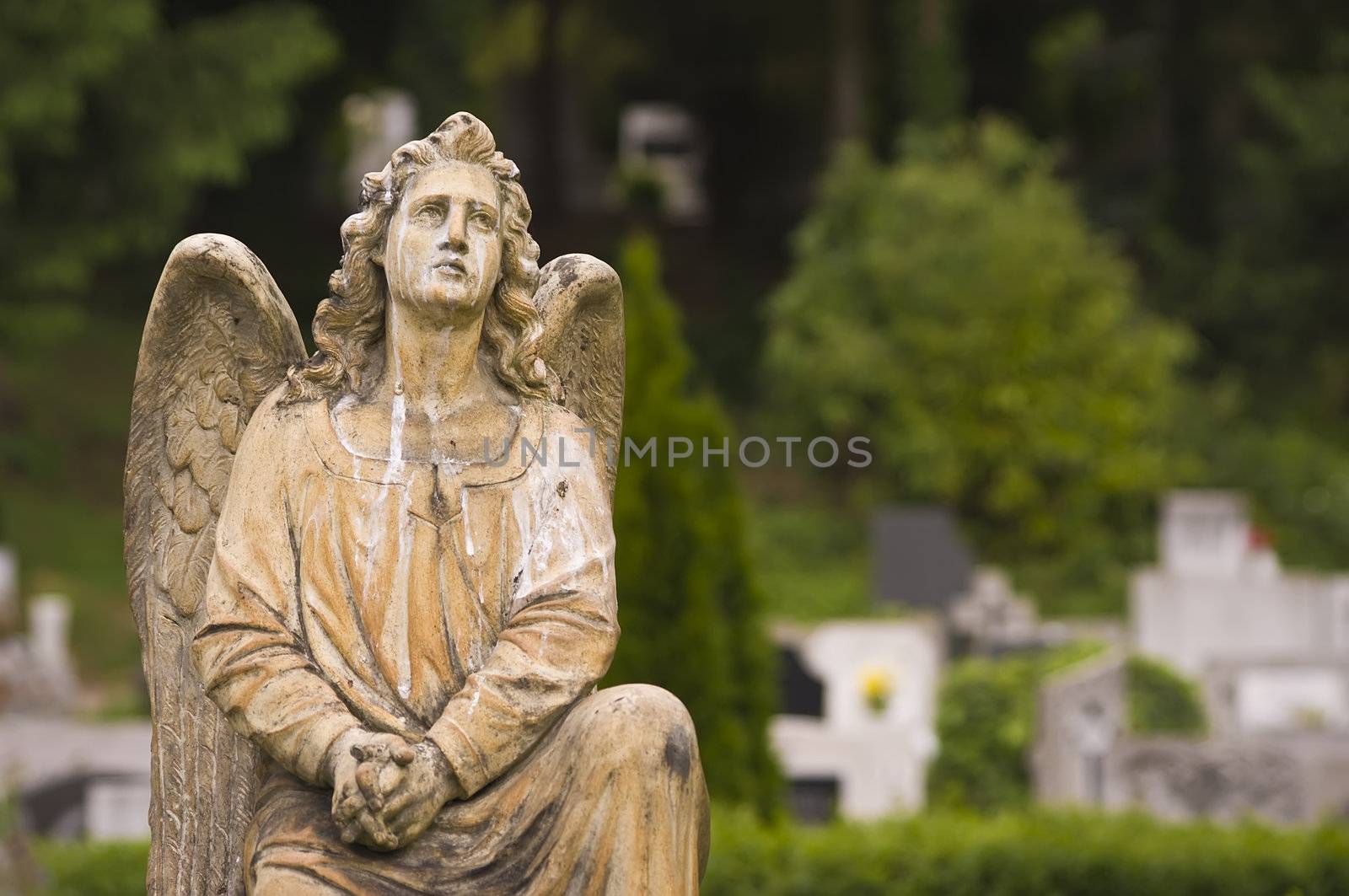 A prayer angel's statue in a cemetery.