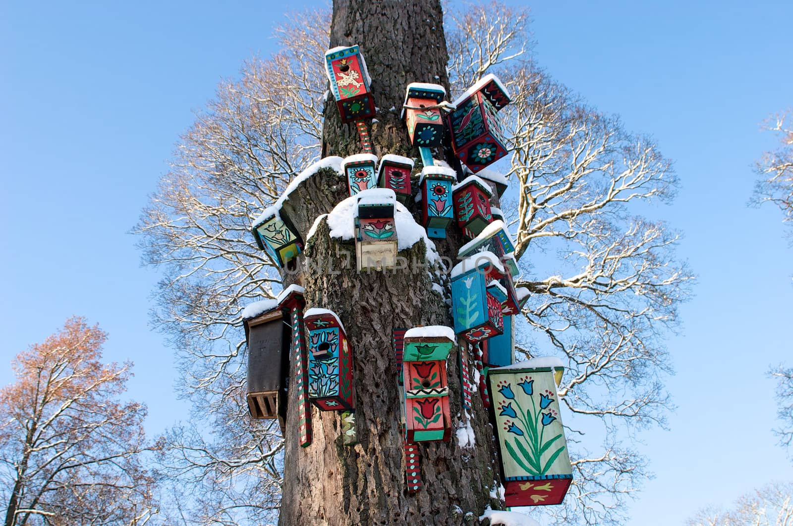 Nesting boxes on a snow covered tree in a winter forest