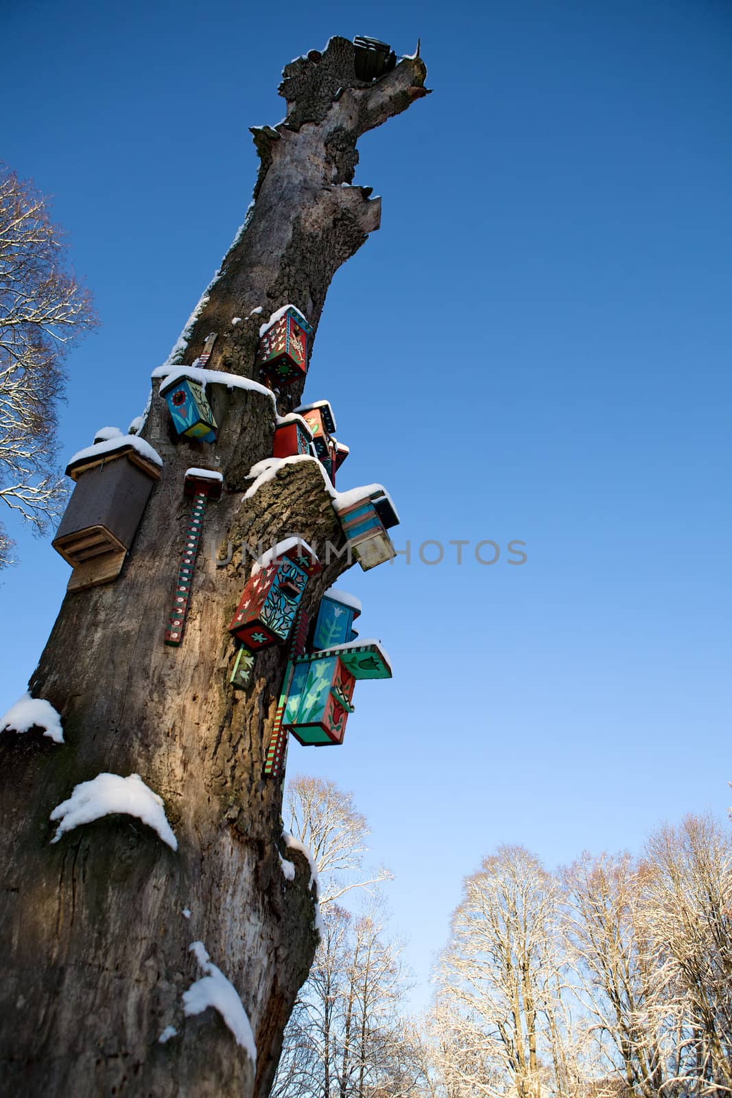 Nesting boxes on a snow covered tree in a winter forest