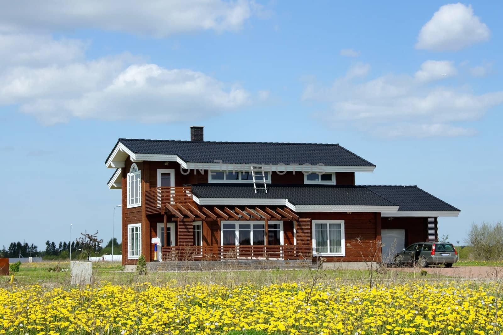 The modern house on a background of plants