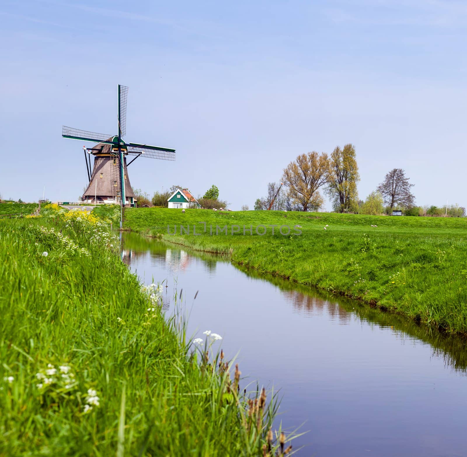 Panorama of the traditional Dutch windmill near the channel. Netherlands
