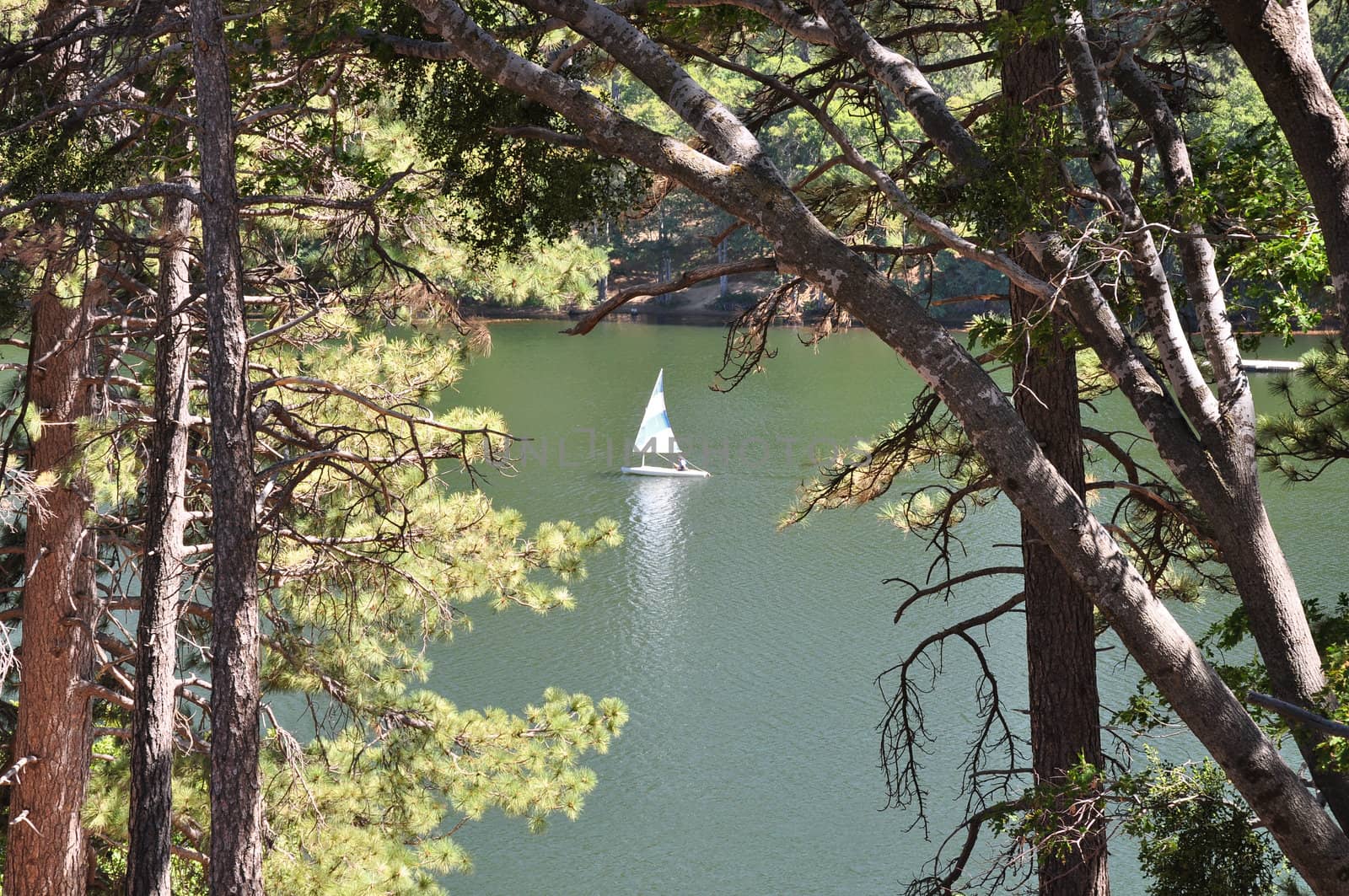 A lone sailboat glides across Lake Gregory in Southern California.