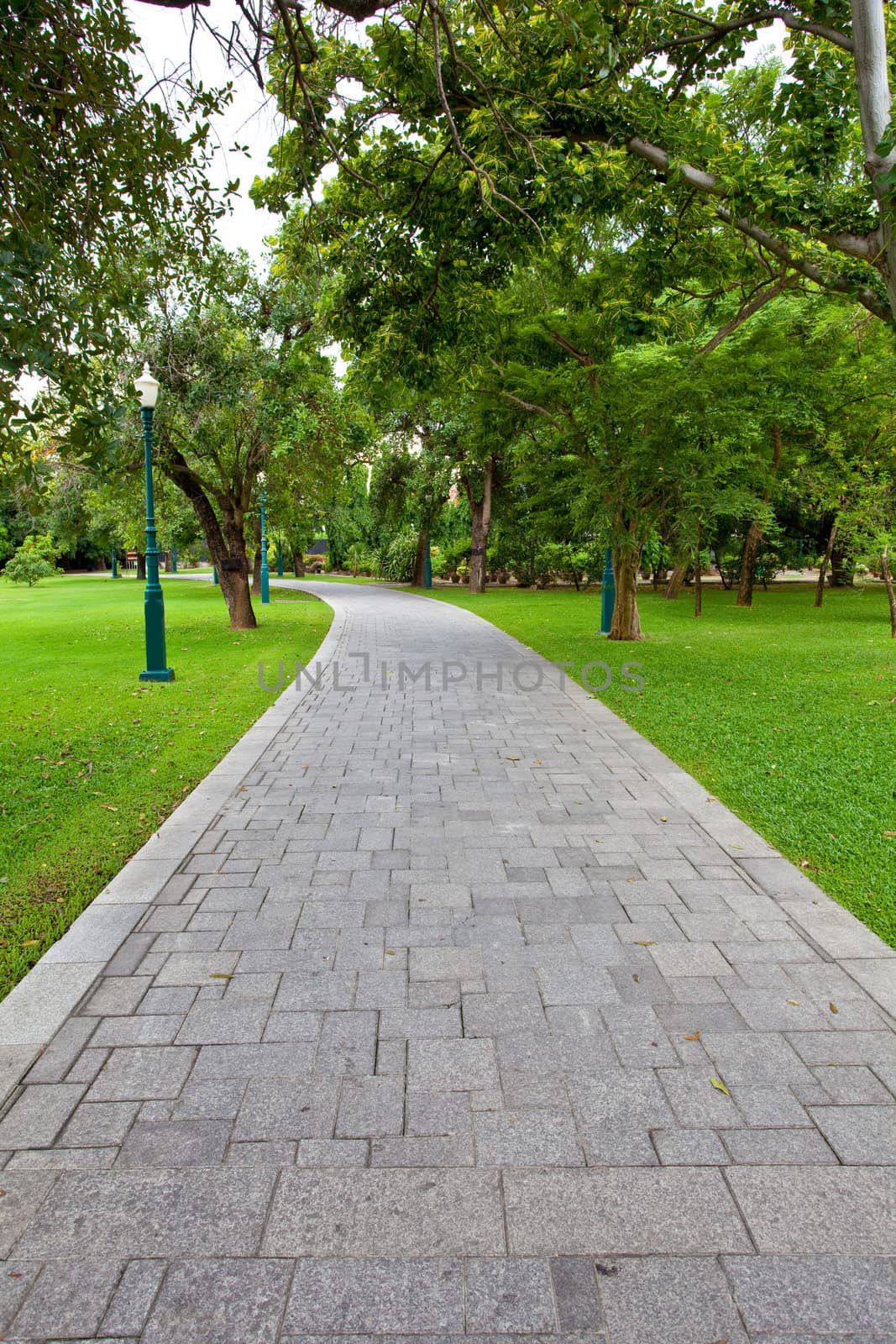 path through the landscaped park