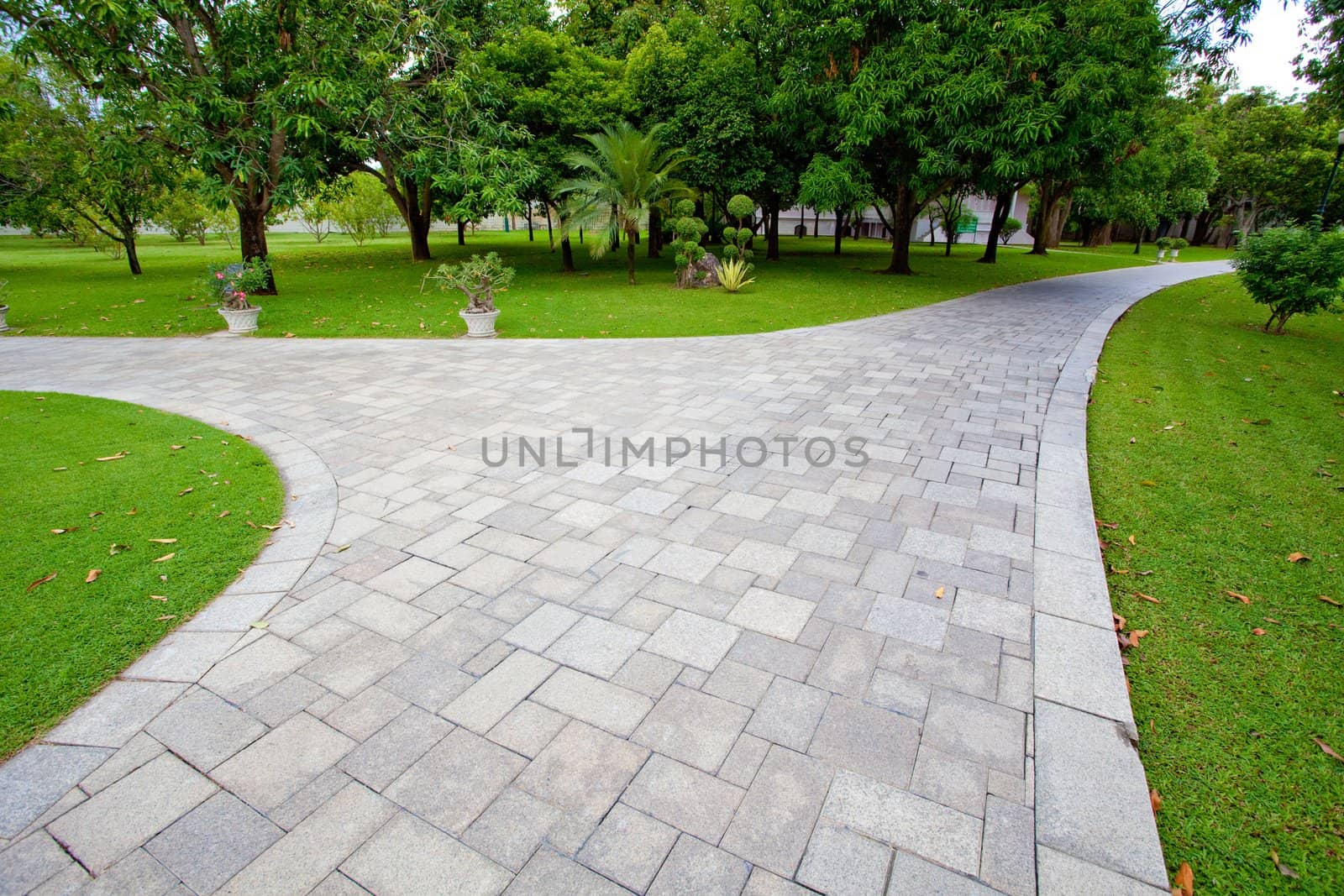 path through the landscaped park