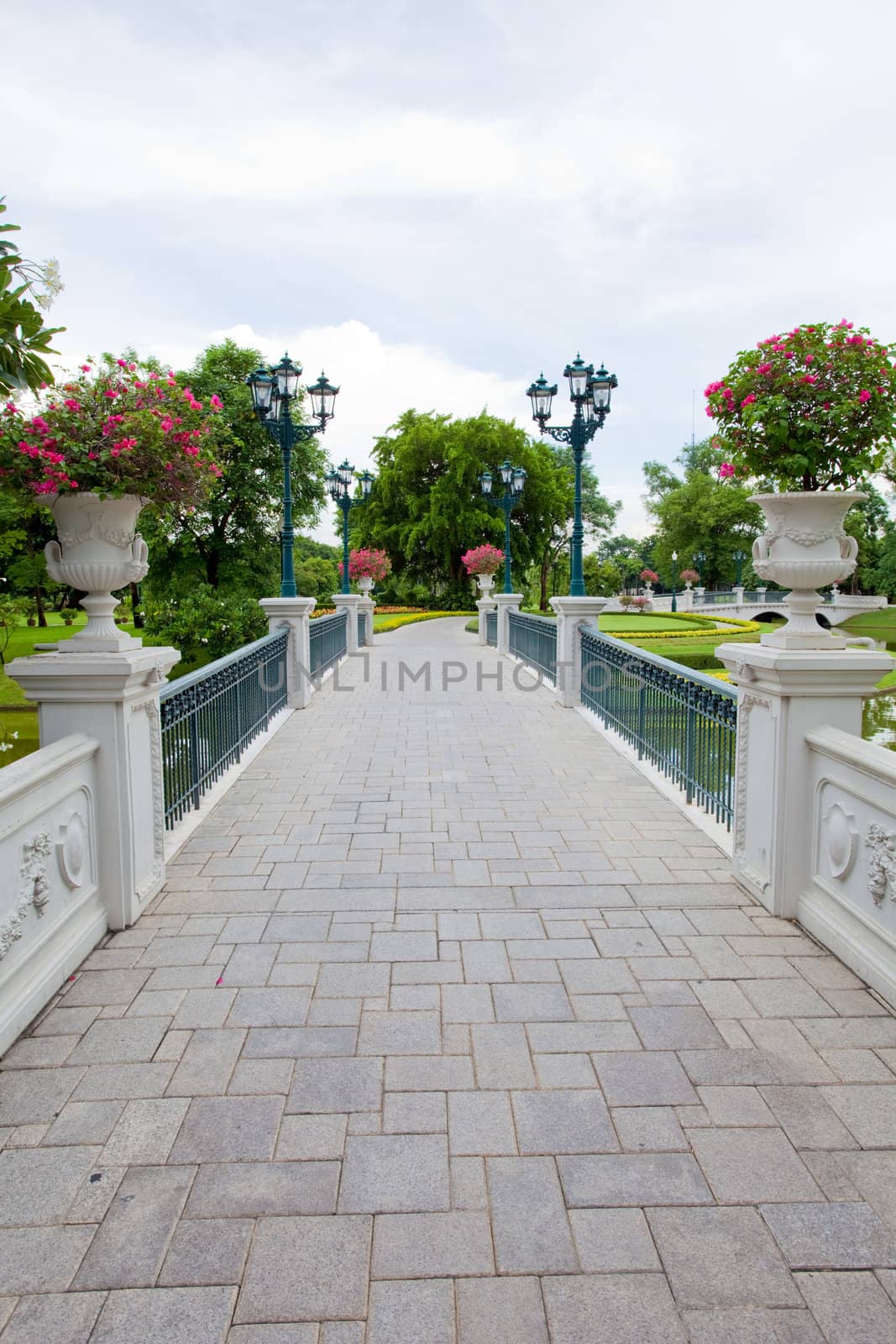 bridge in park