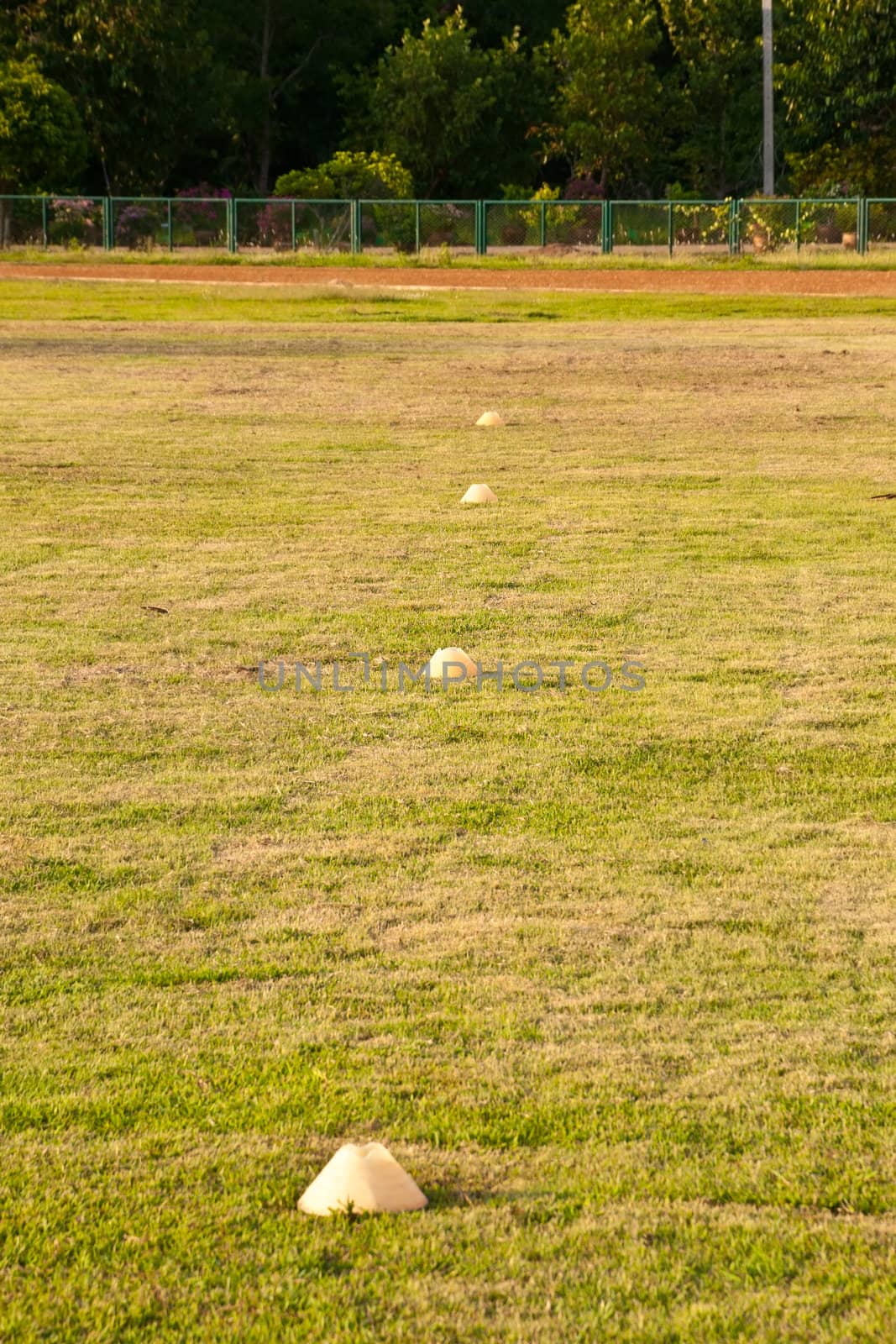 soccer field green grass by Yuri2012