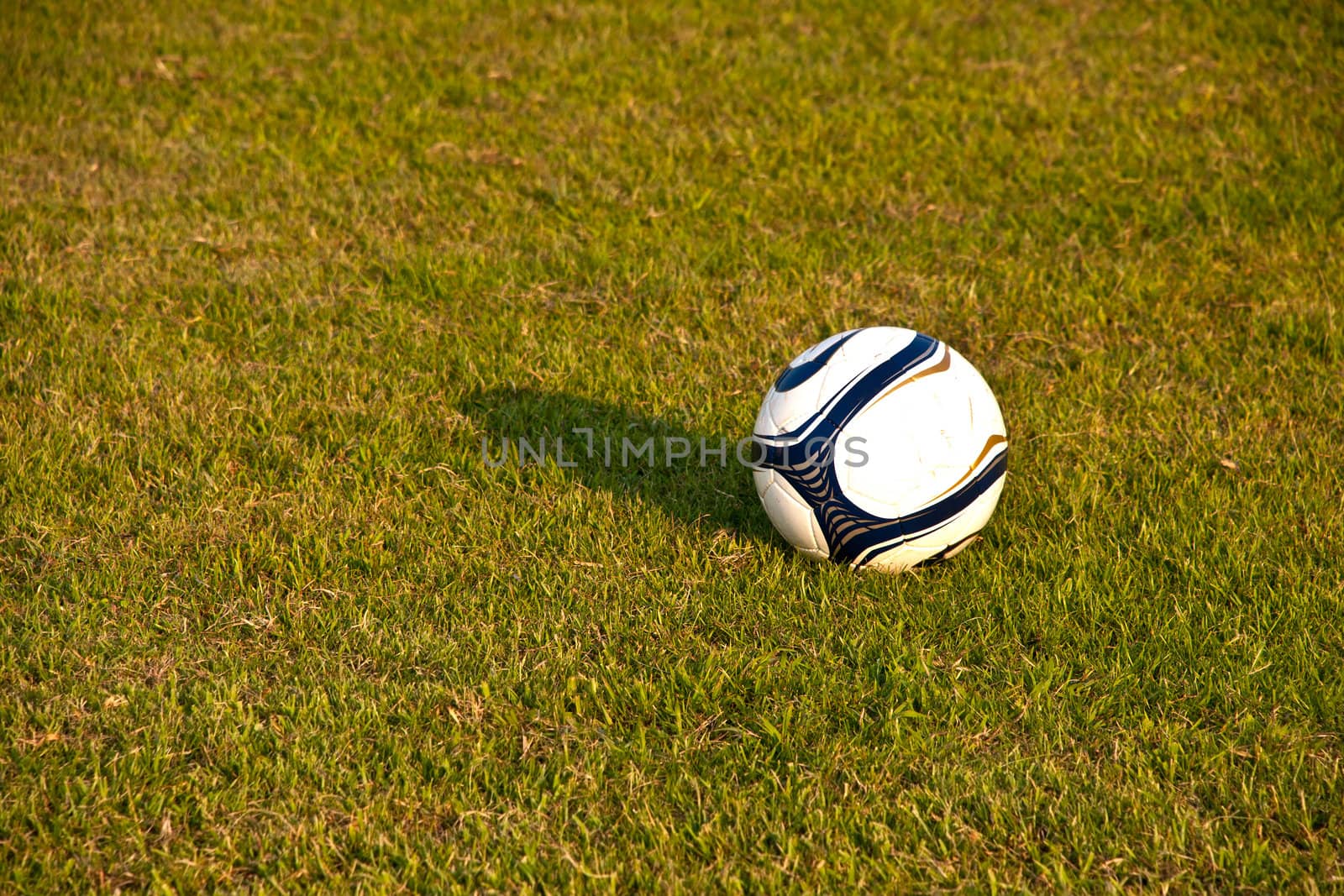 Soccer ball or football ball on green field