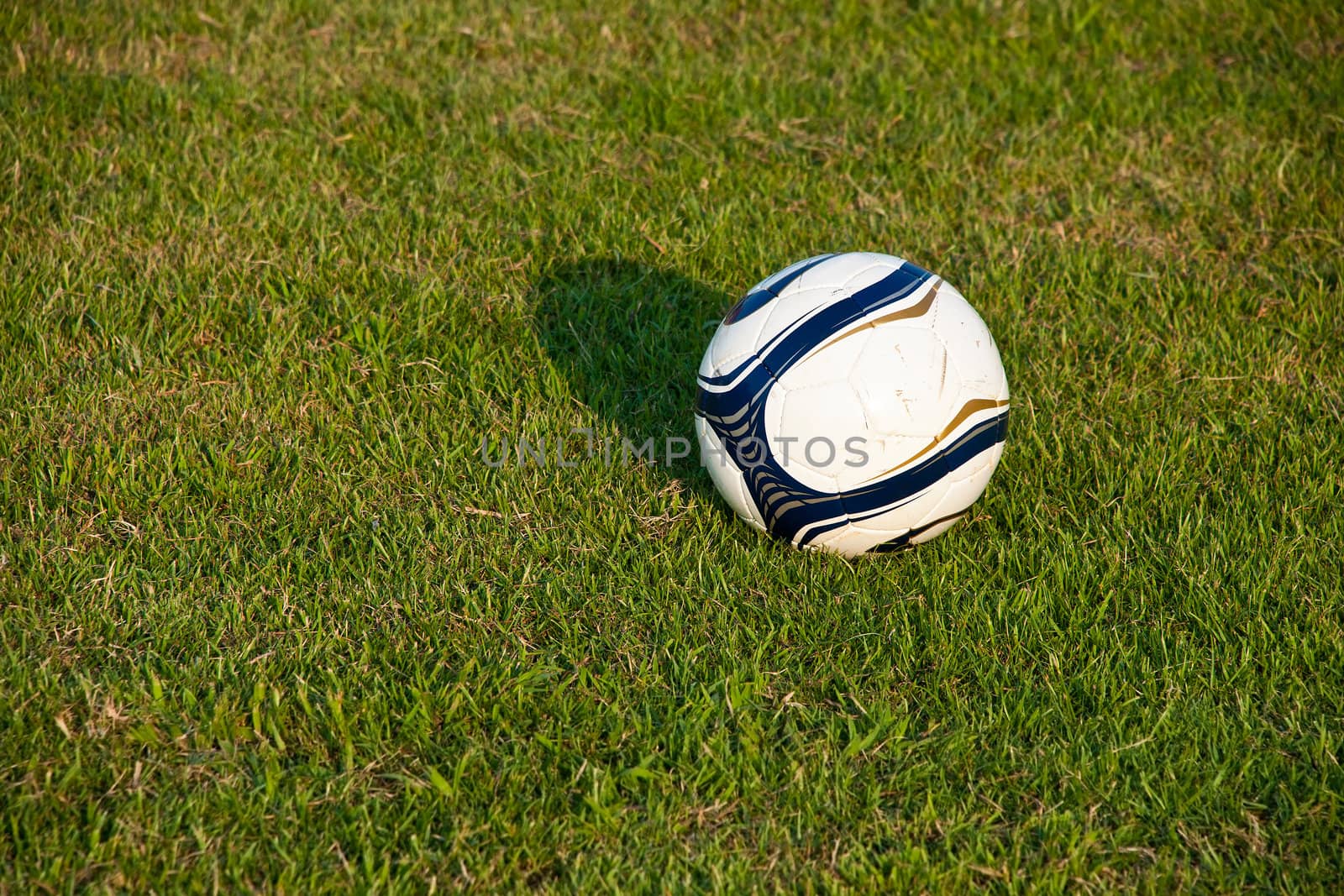 Soccer ball or football ball on green field