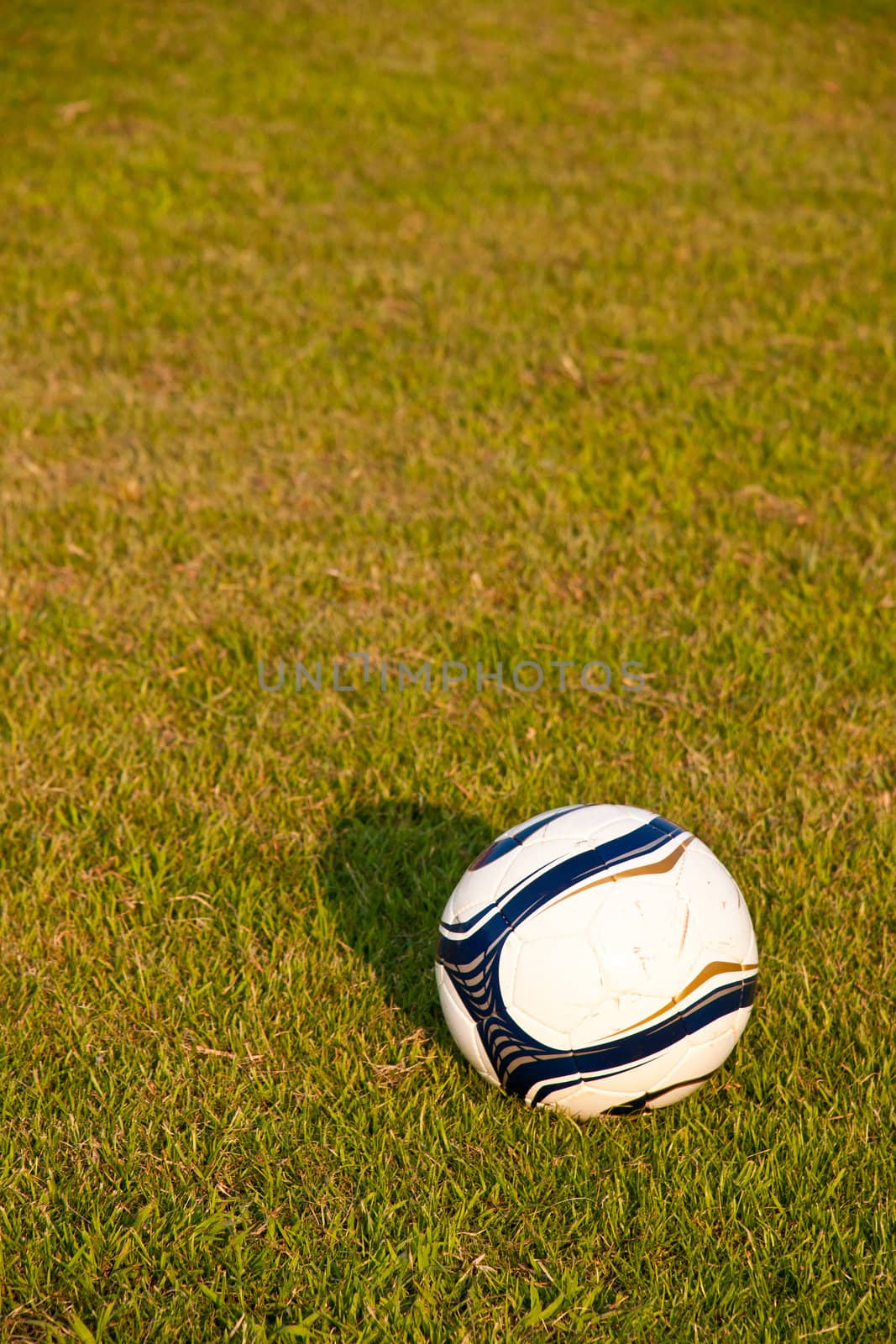 Soccer ball or football ball on green field