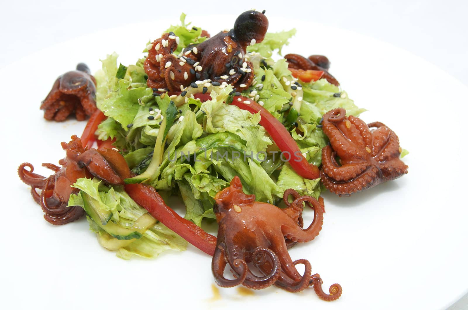 salad of octopus and cabbage leaves on a white background